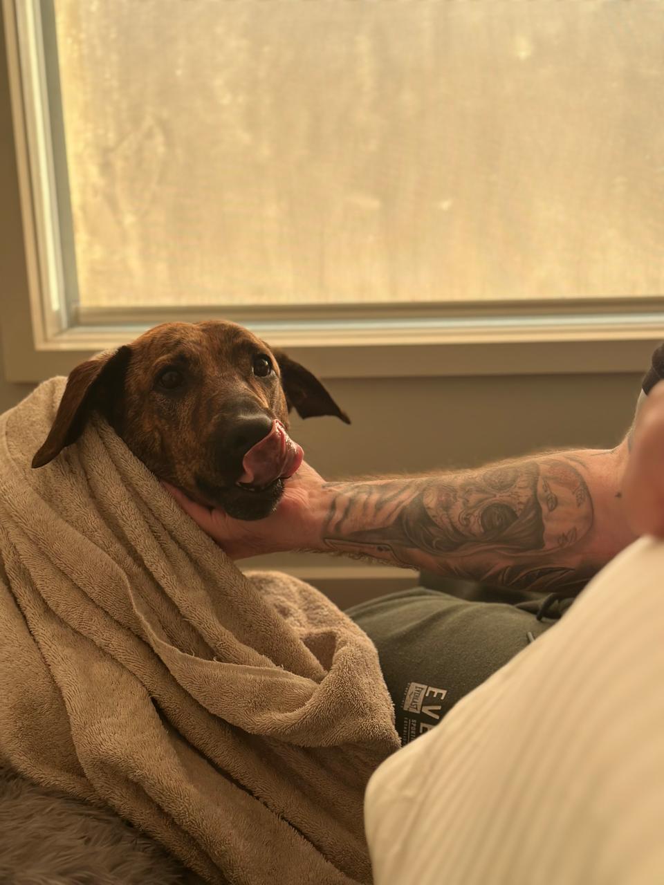 image-9