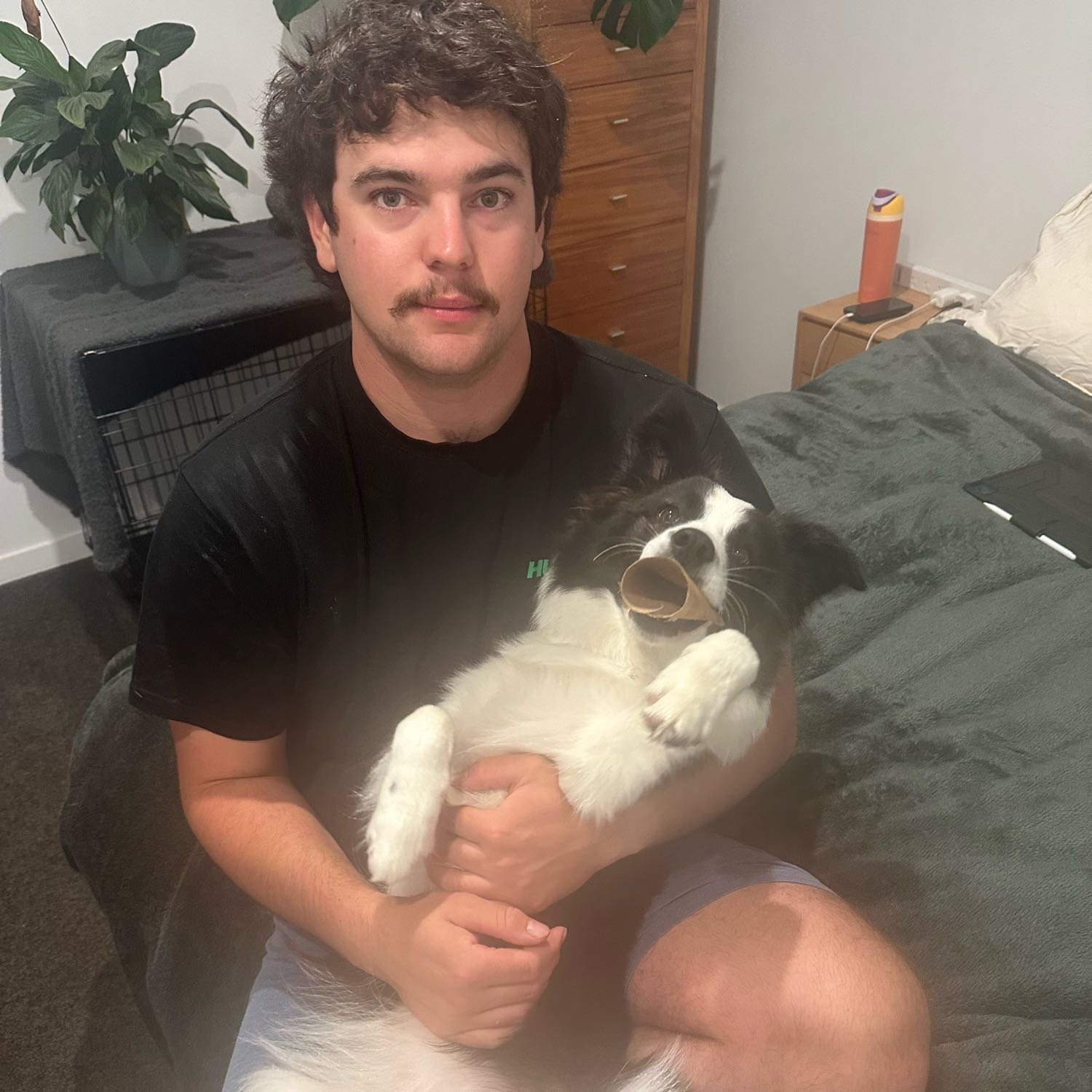 luca