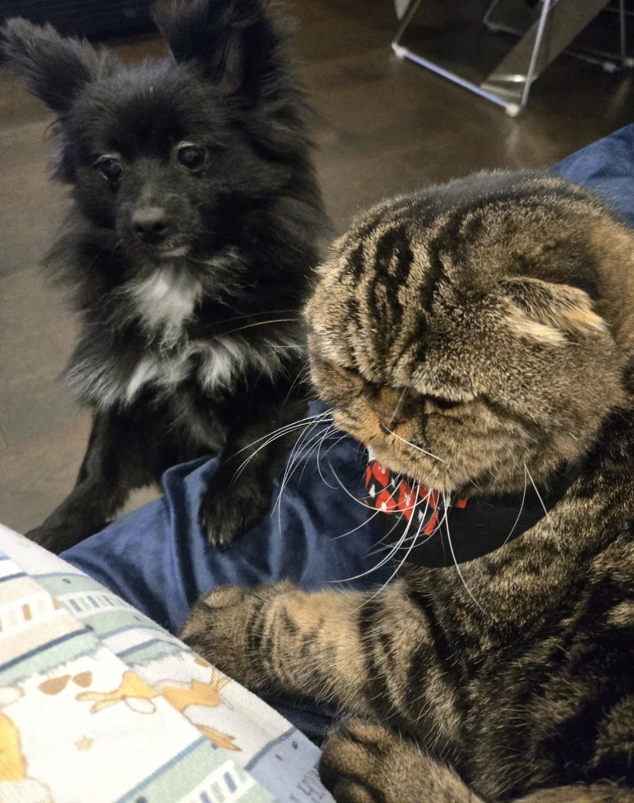 image-15