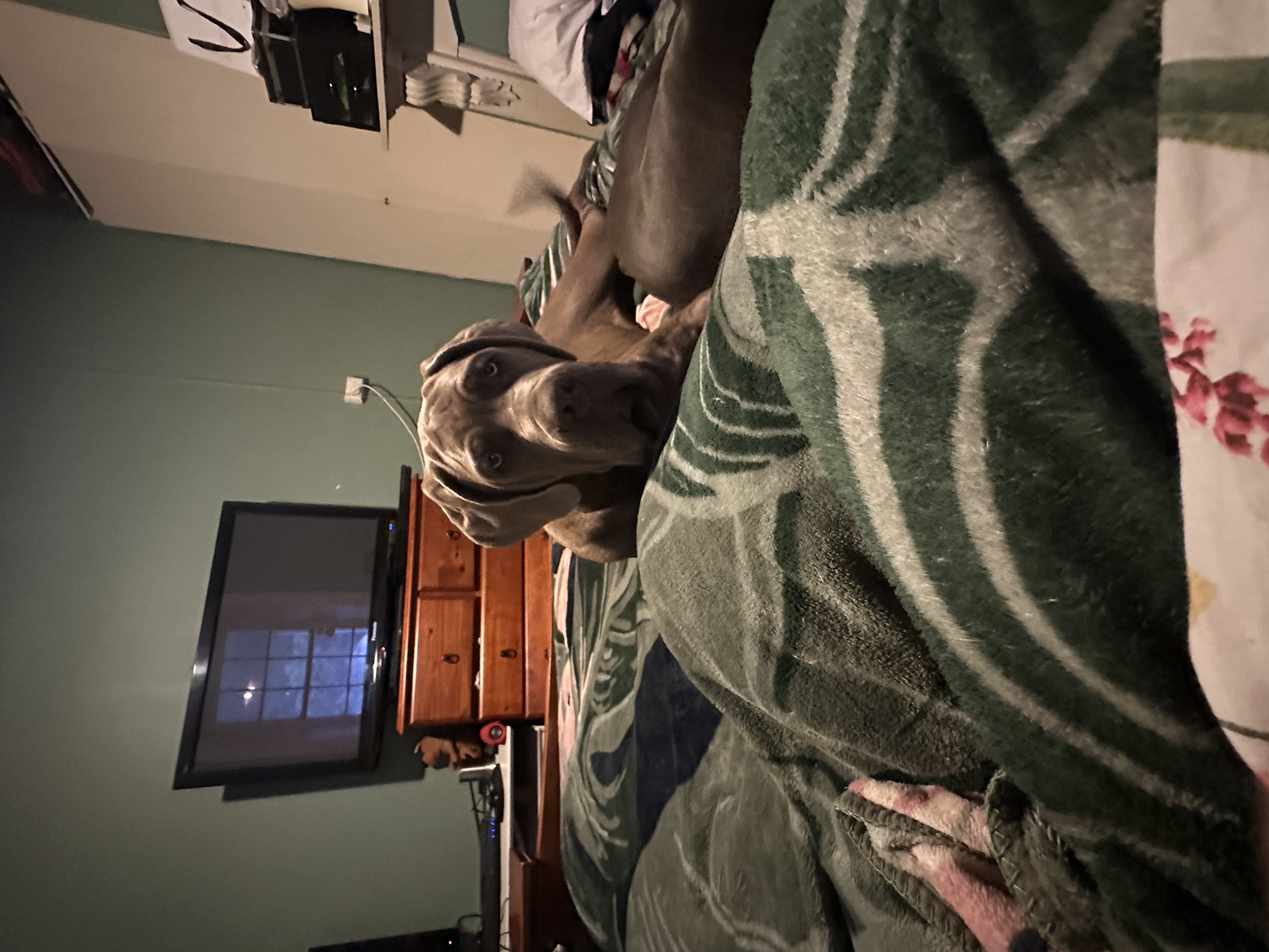 image-7