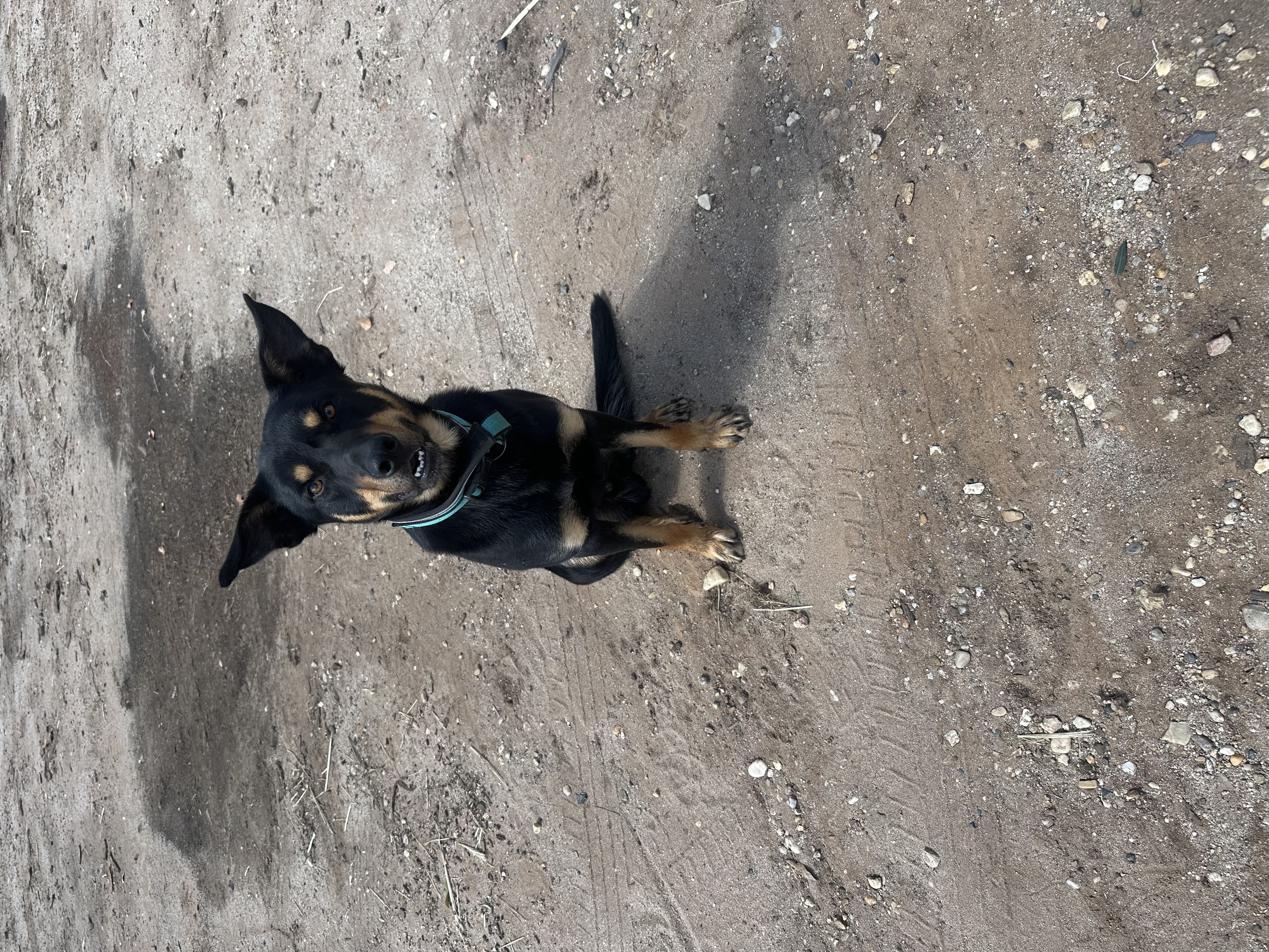 image-1