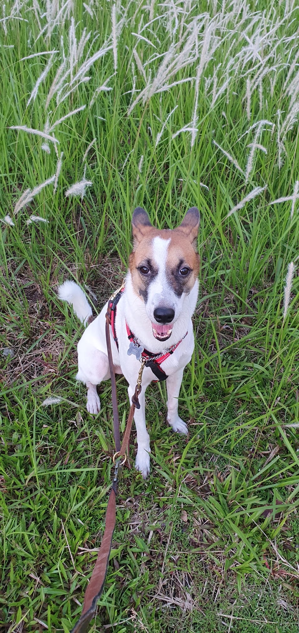 image-8