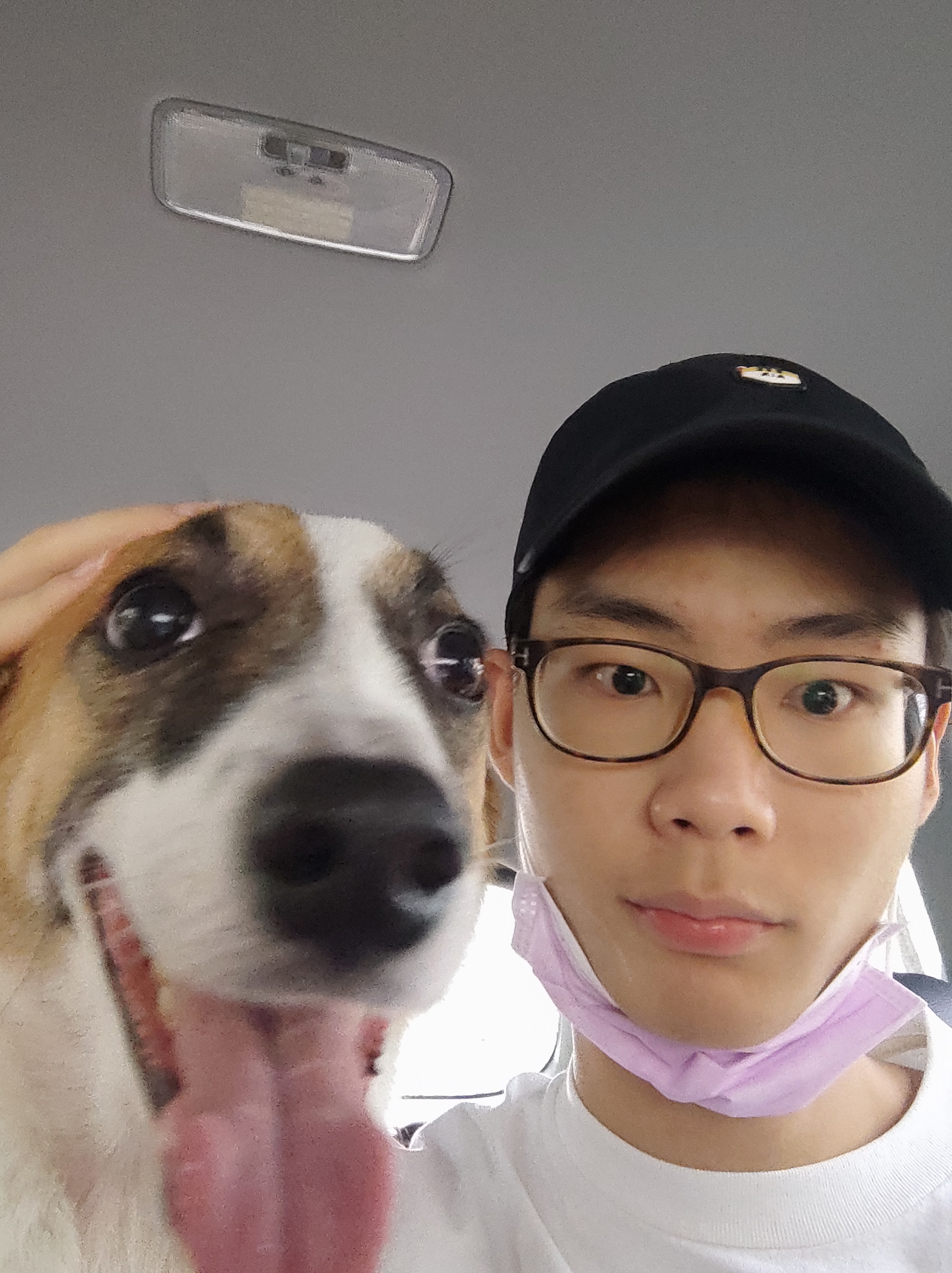 image-7