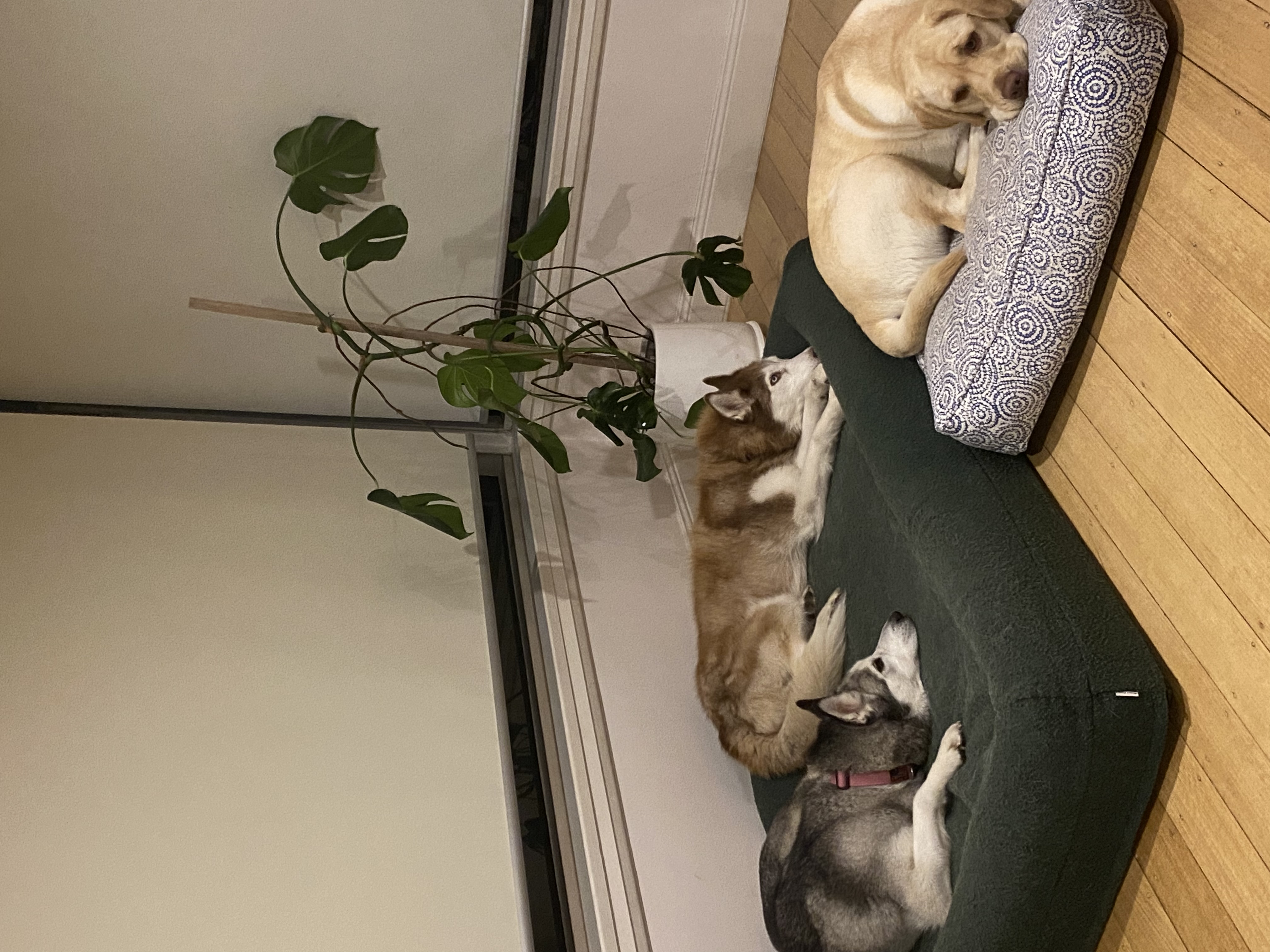image-6