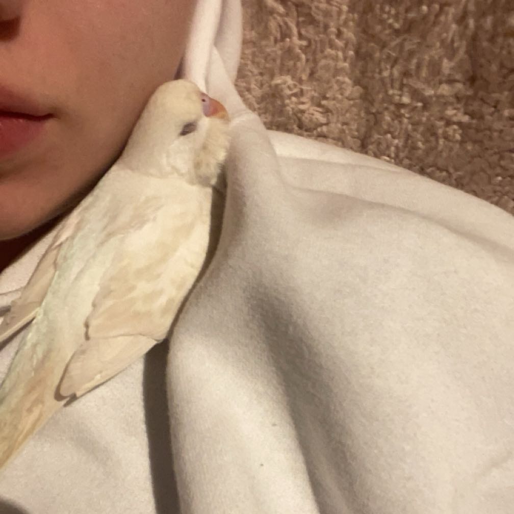 Gus