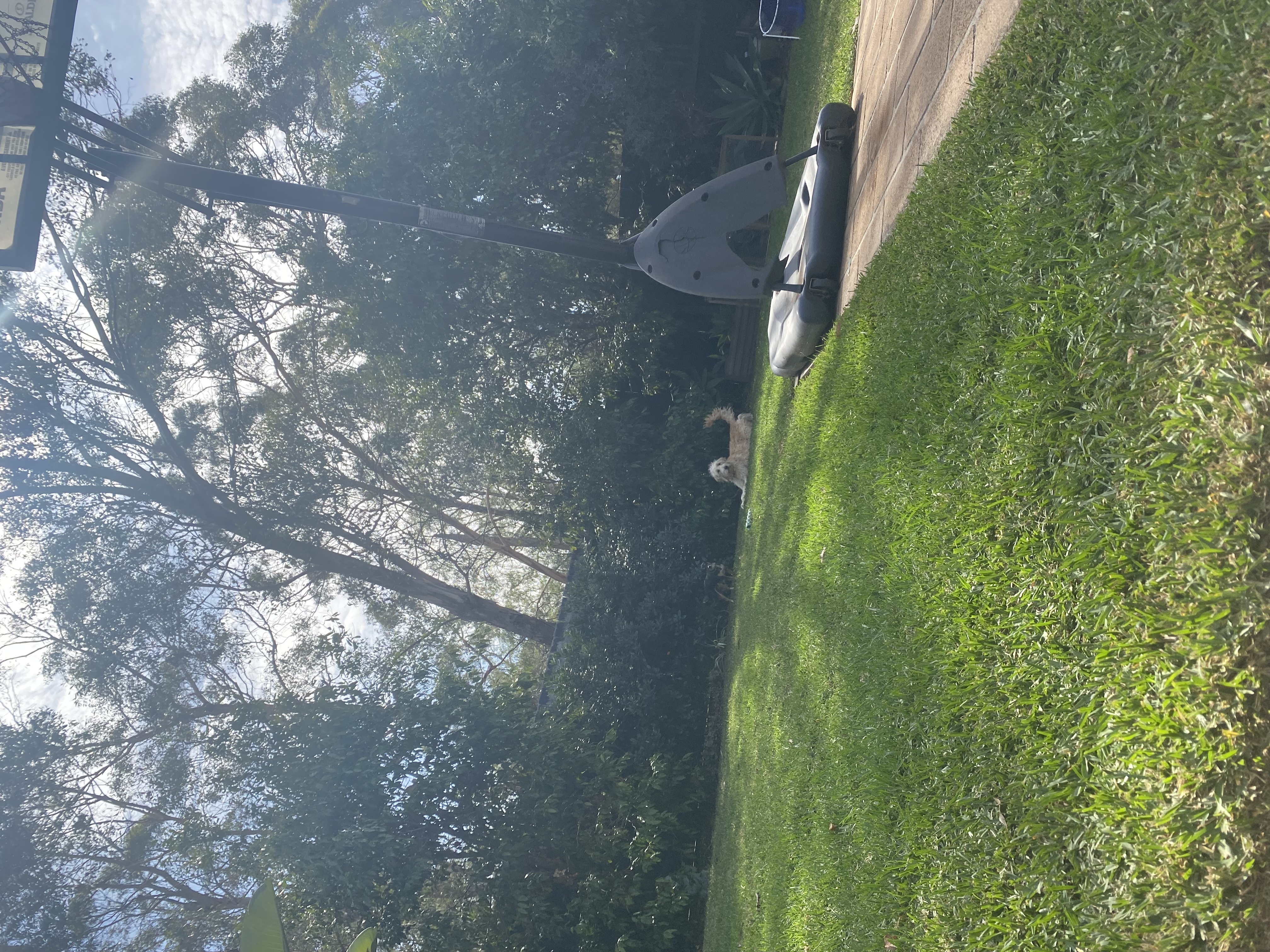 image-8