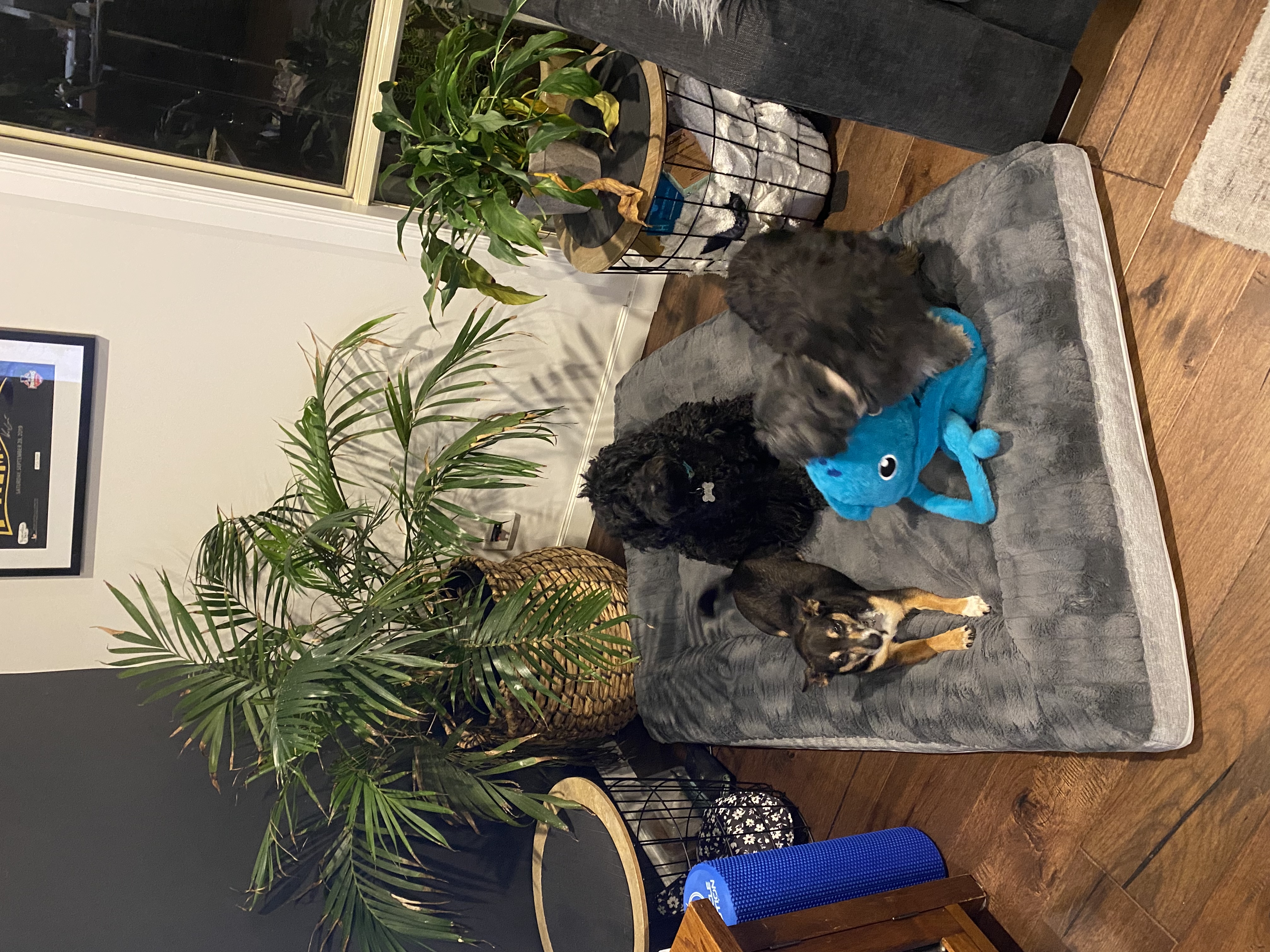 image-11