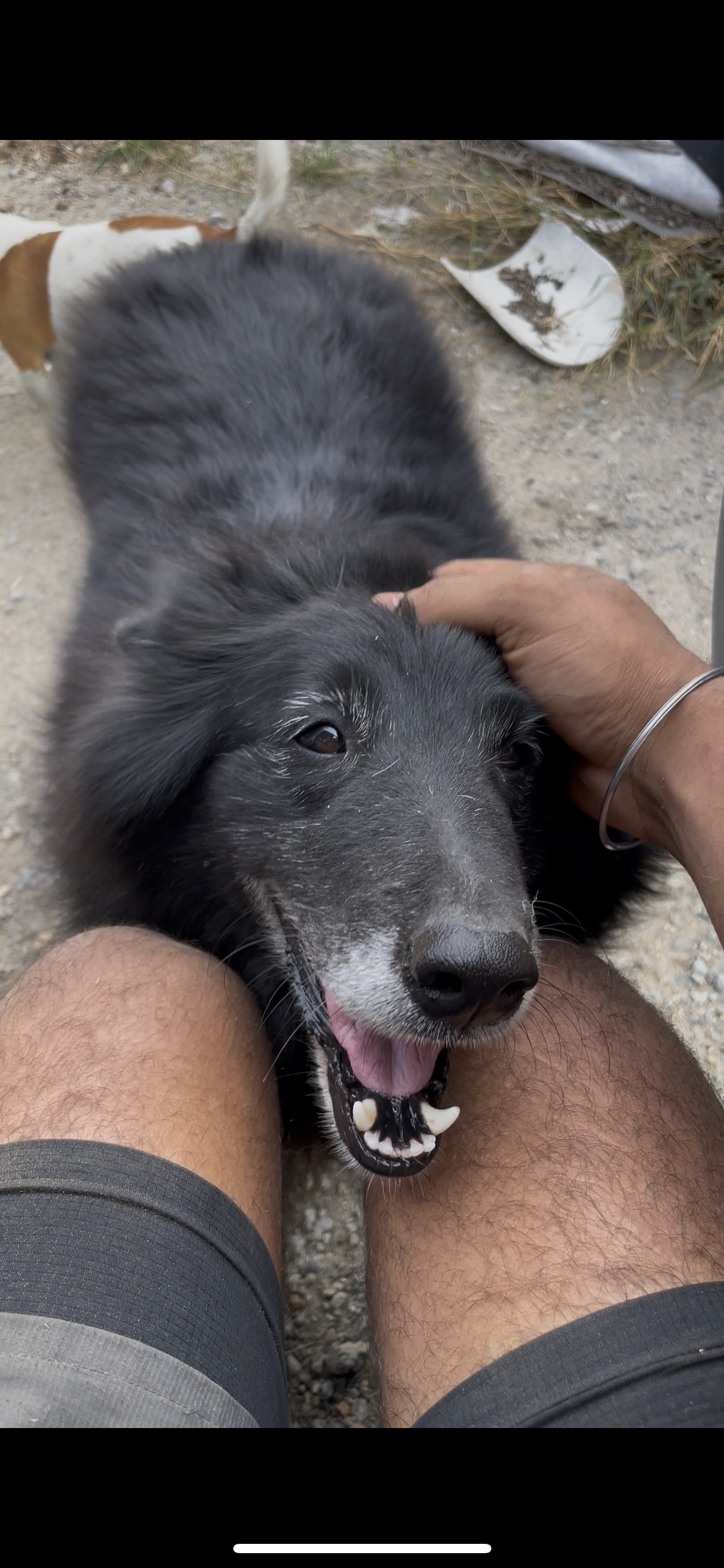 image-9