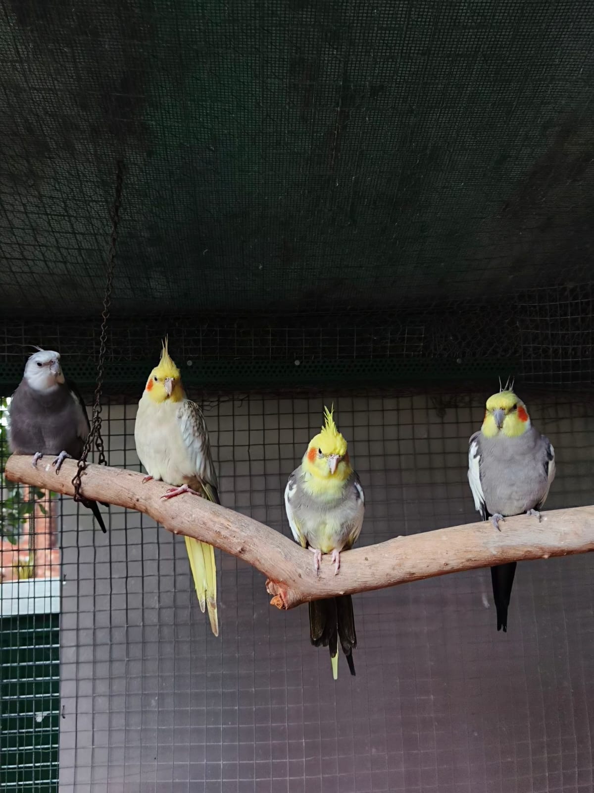 image-7