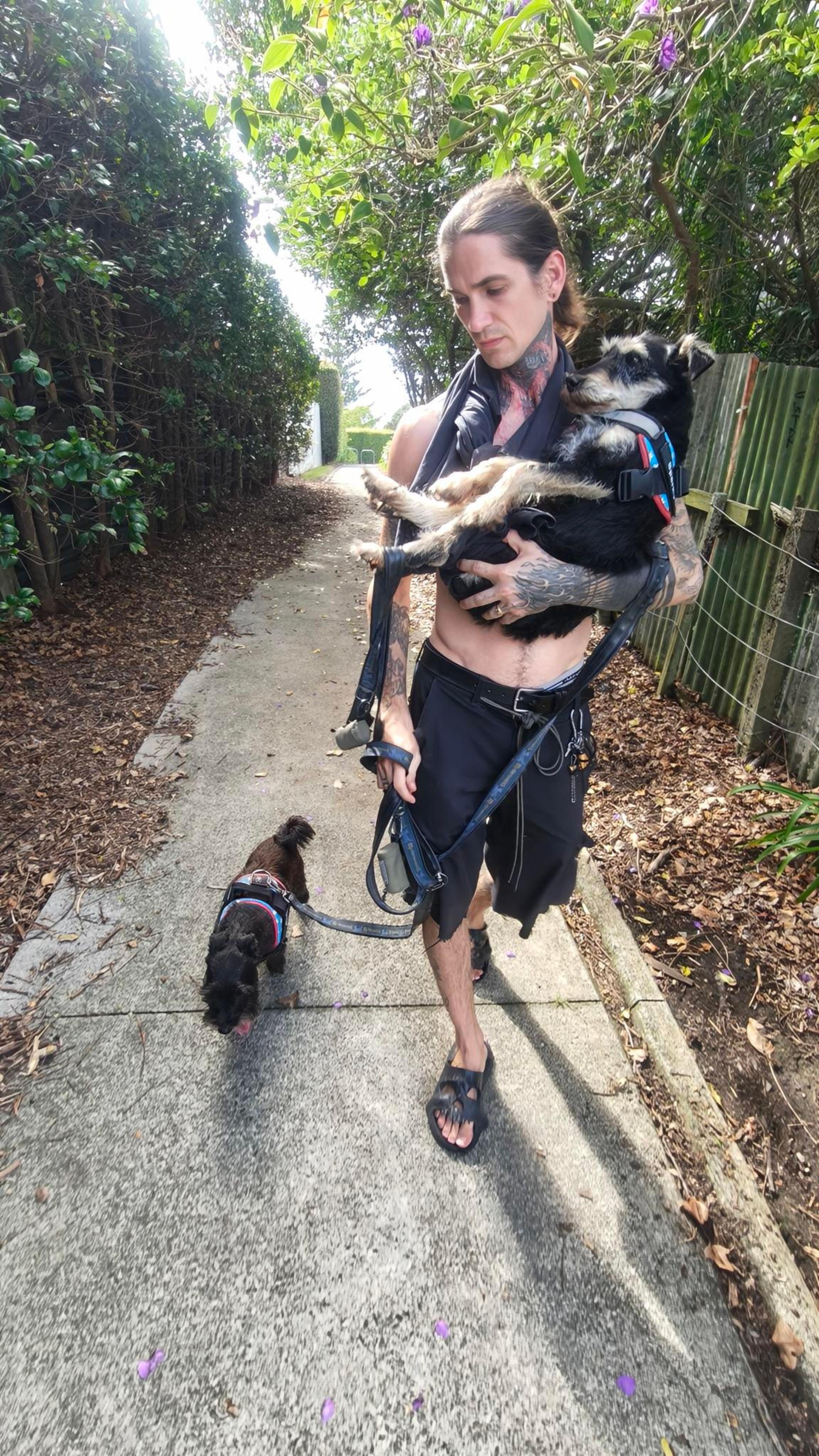 image-14