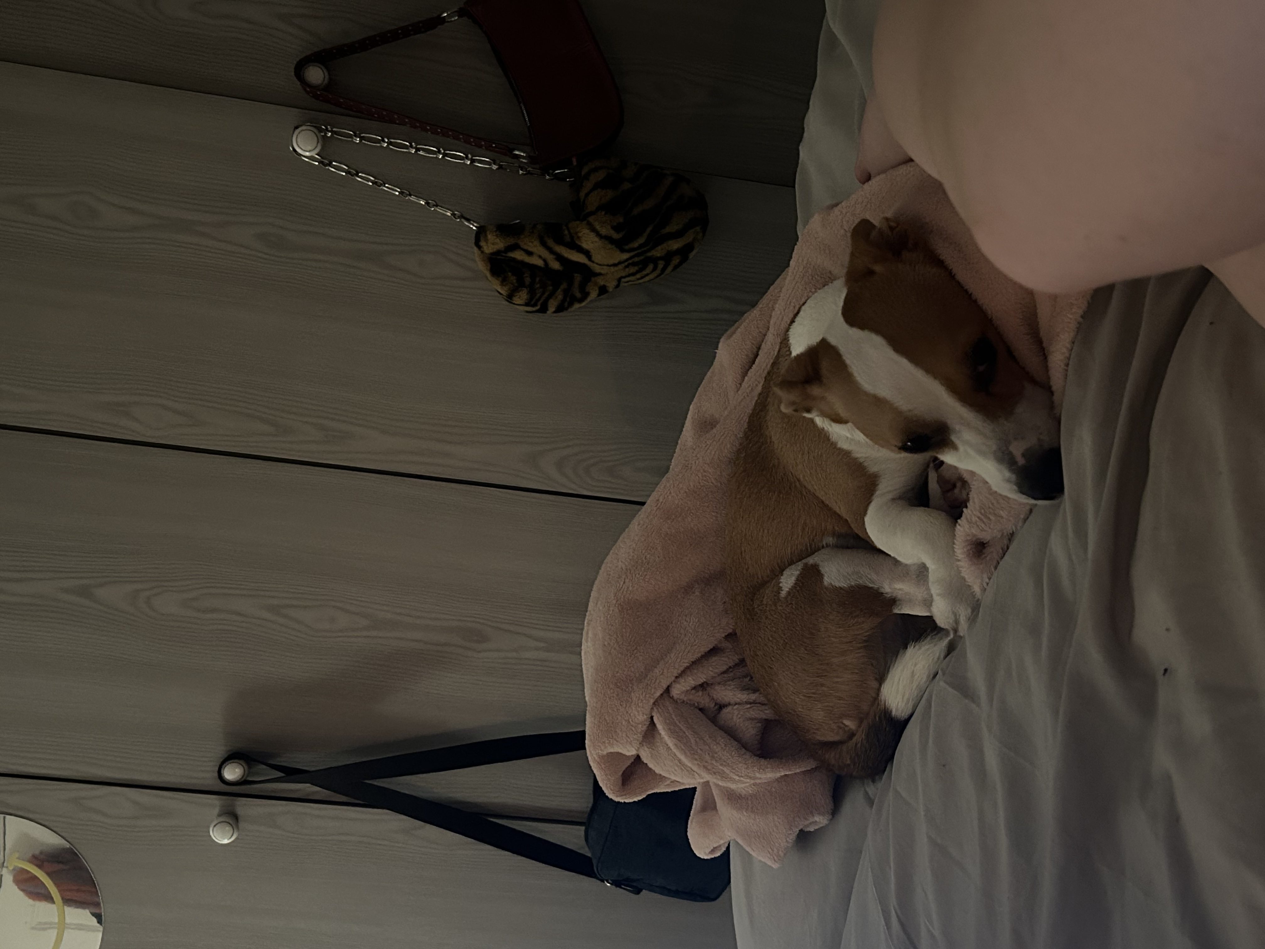 image-7
