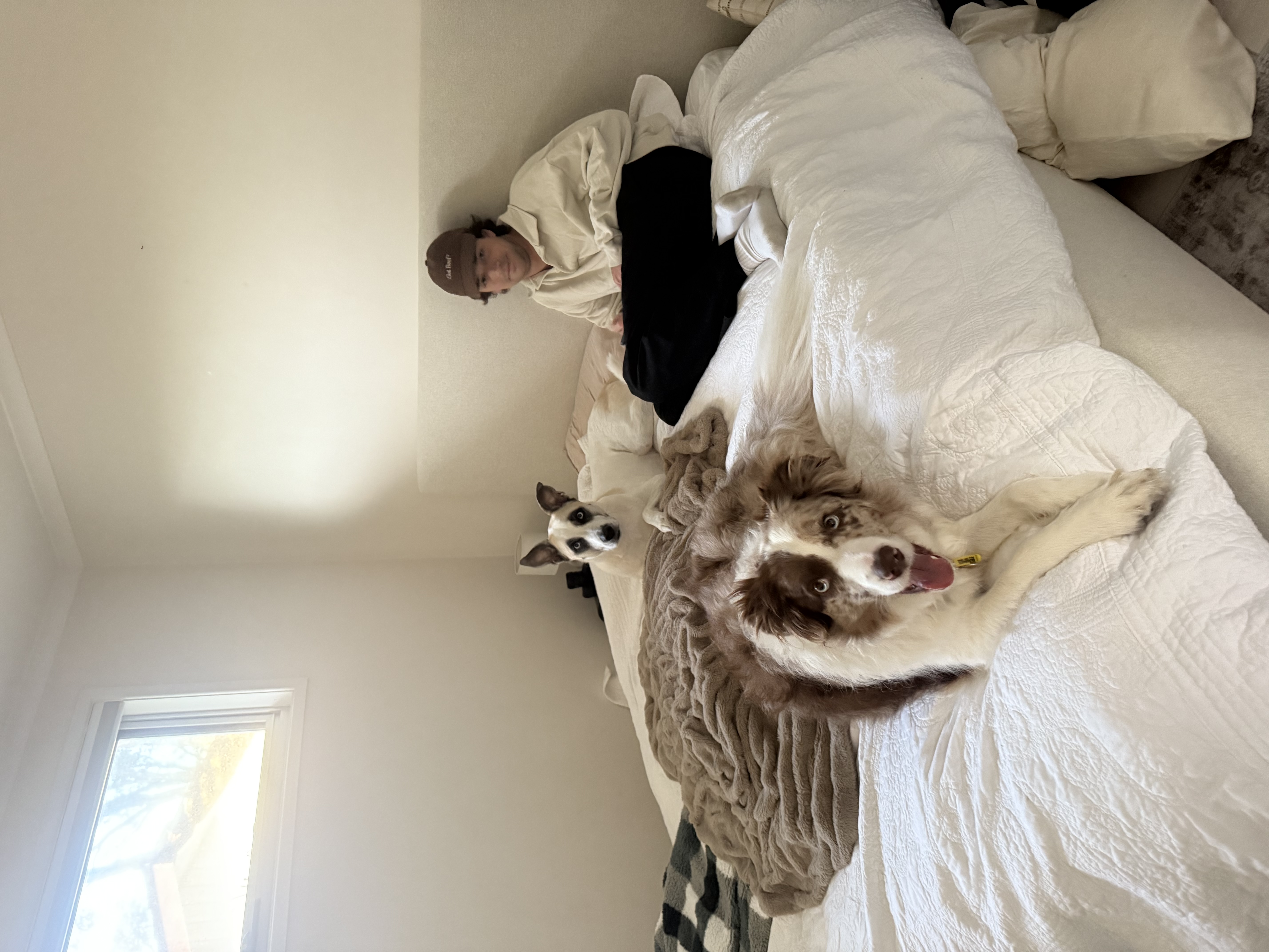 image-17