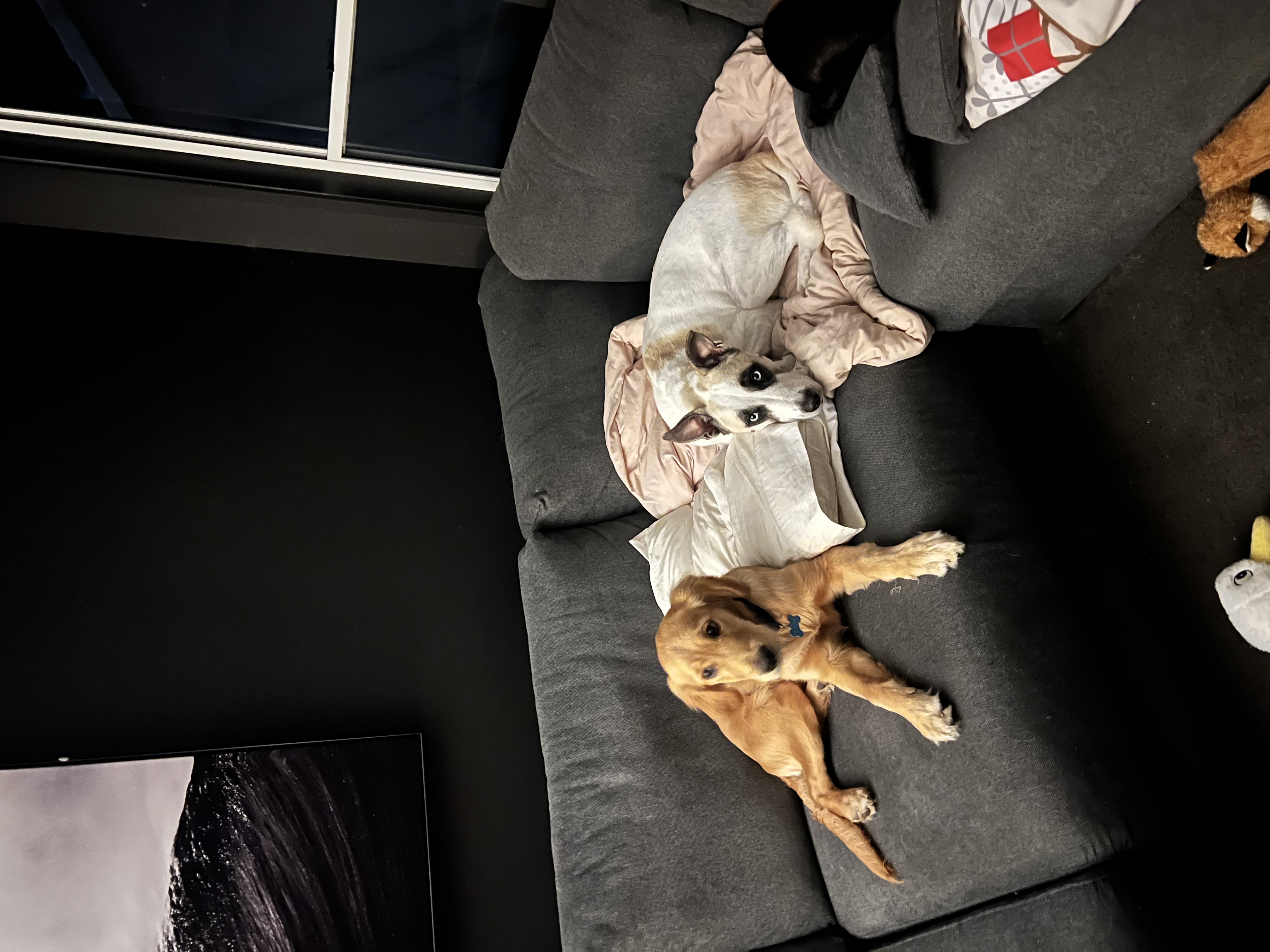 image-9