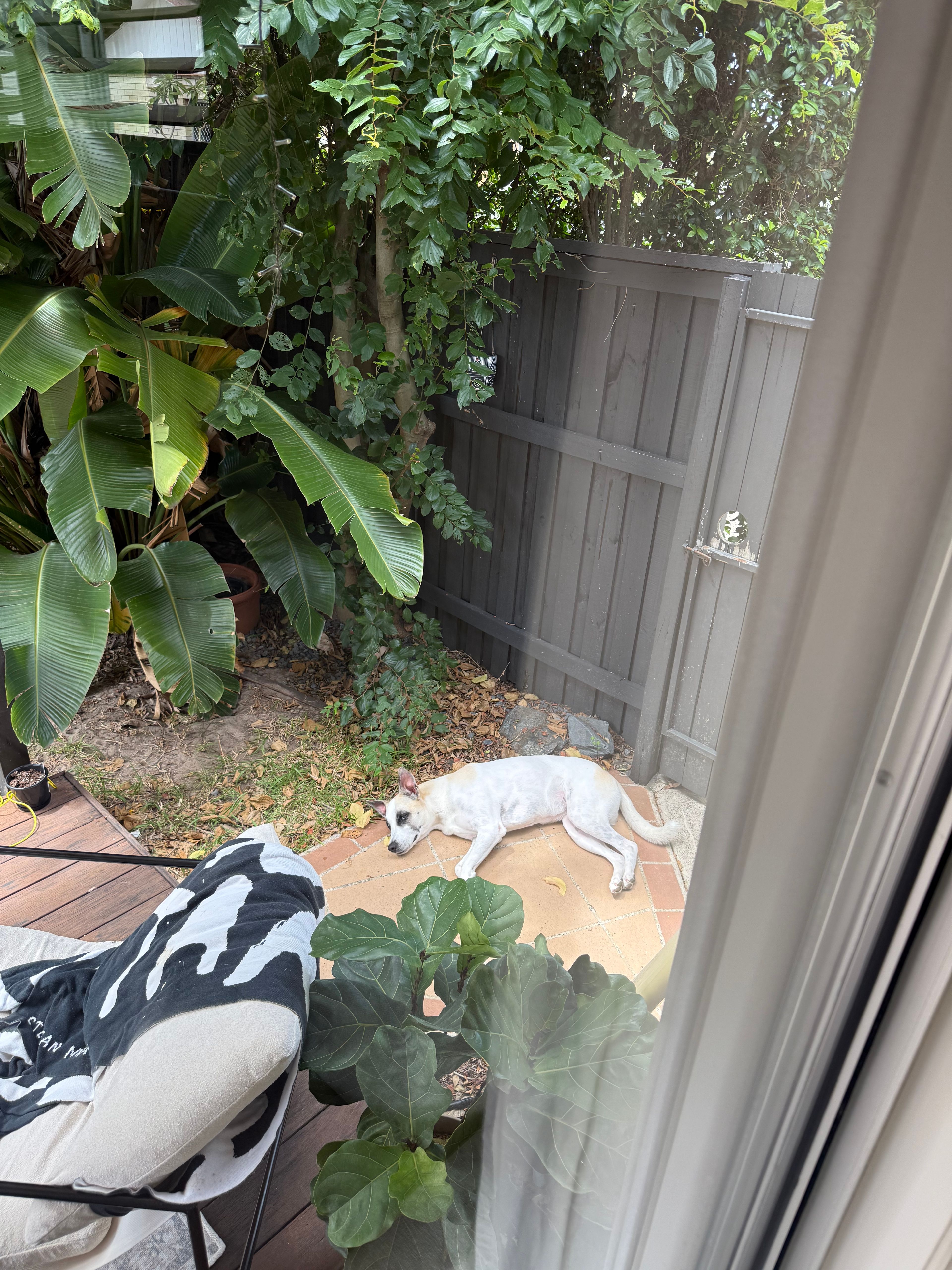 image-18