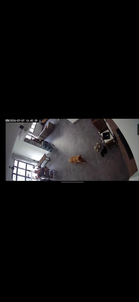 image-5