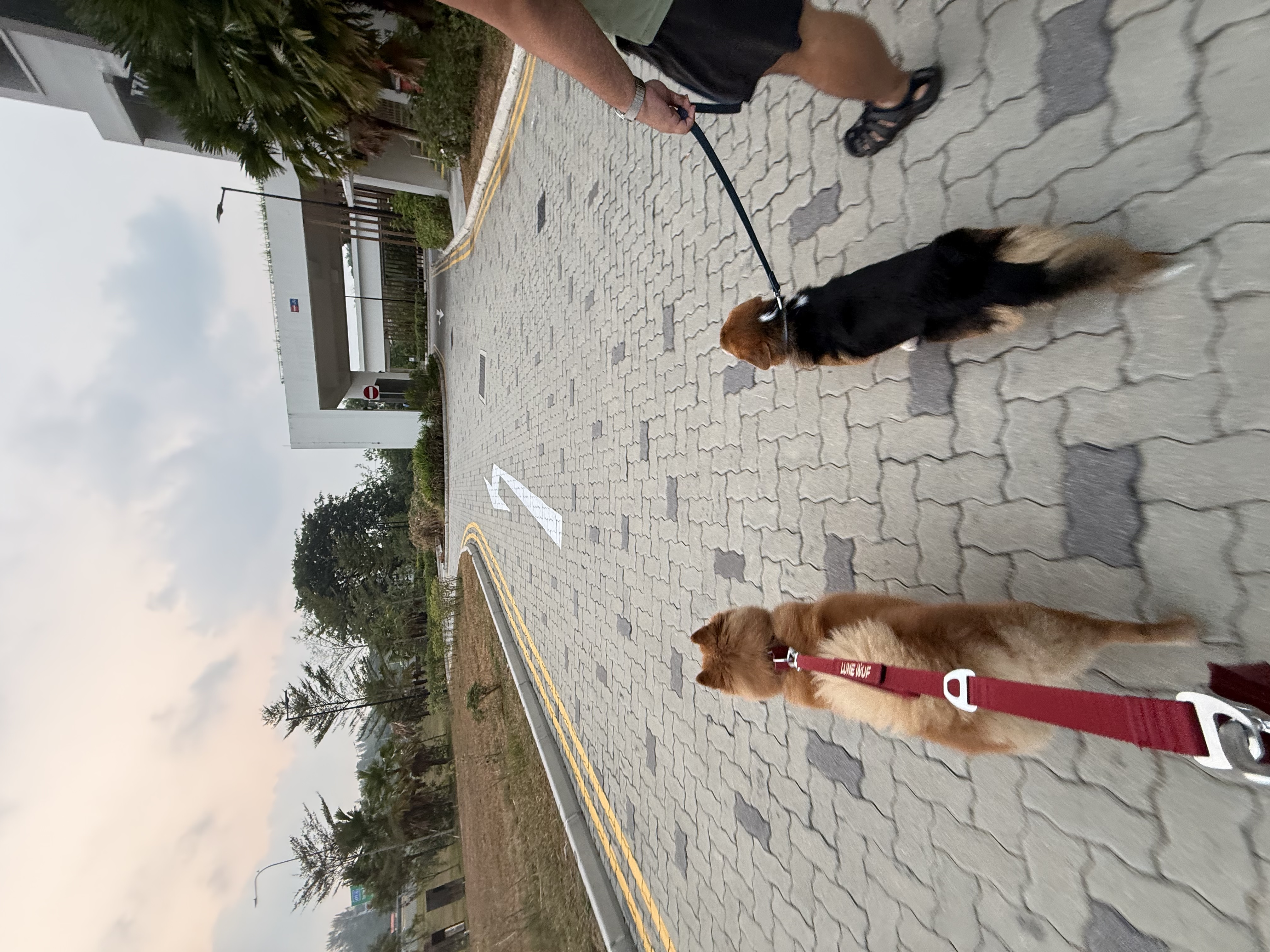 image-5