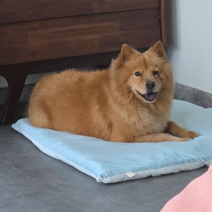 Yuki