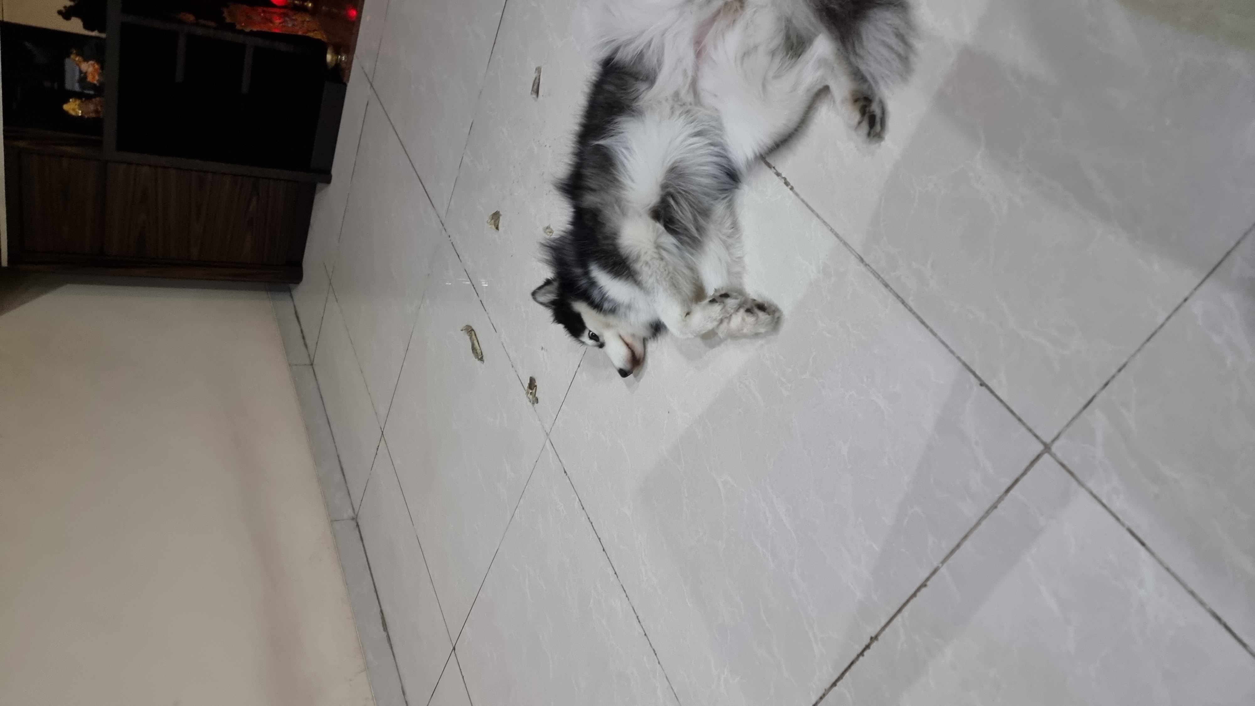 image-6