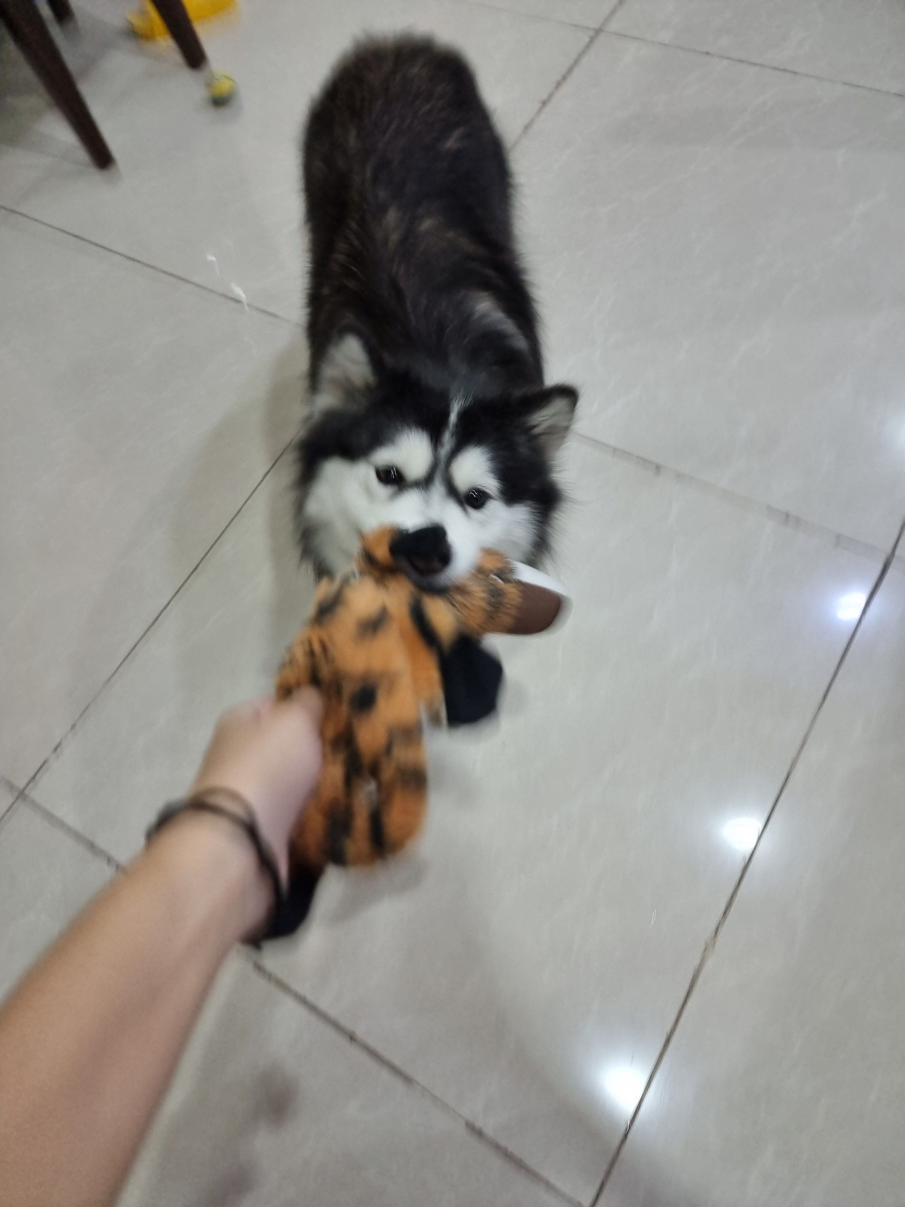 image-3