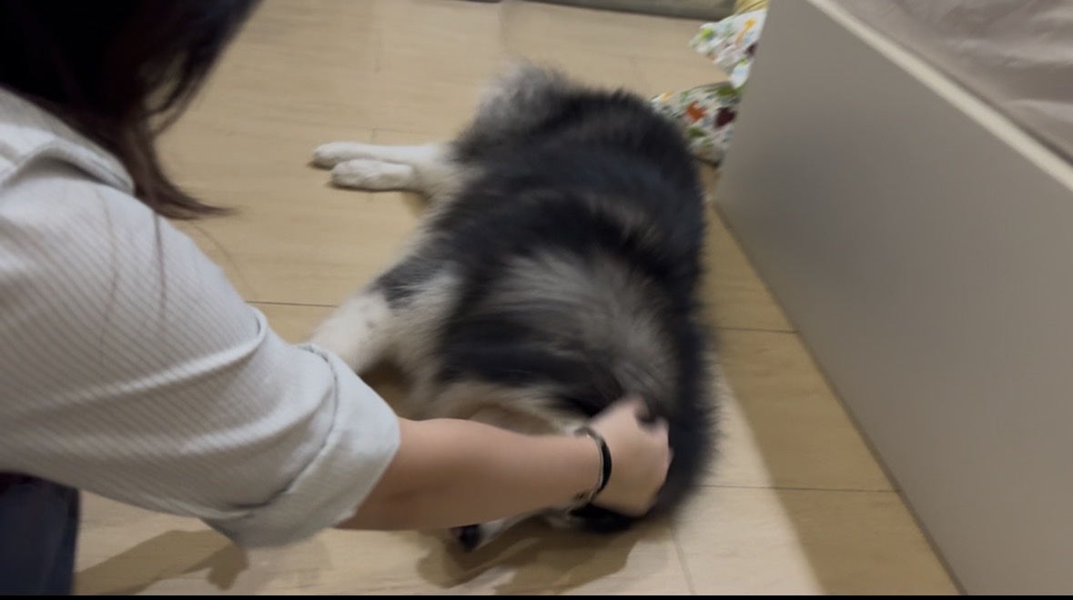 image-9