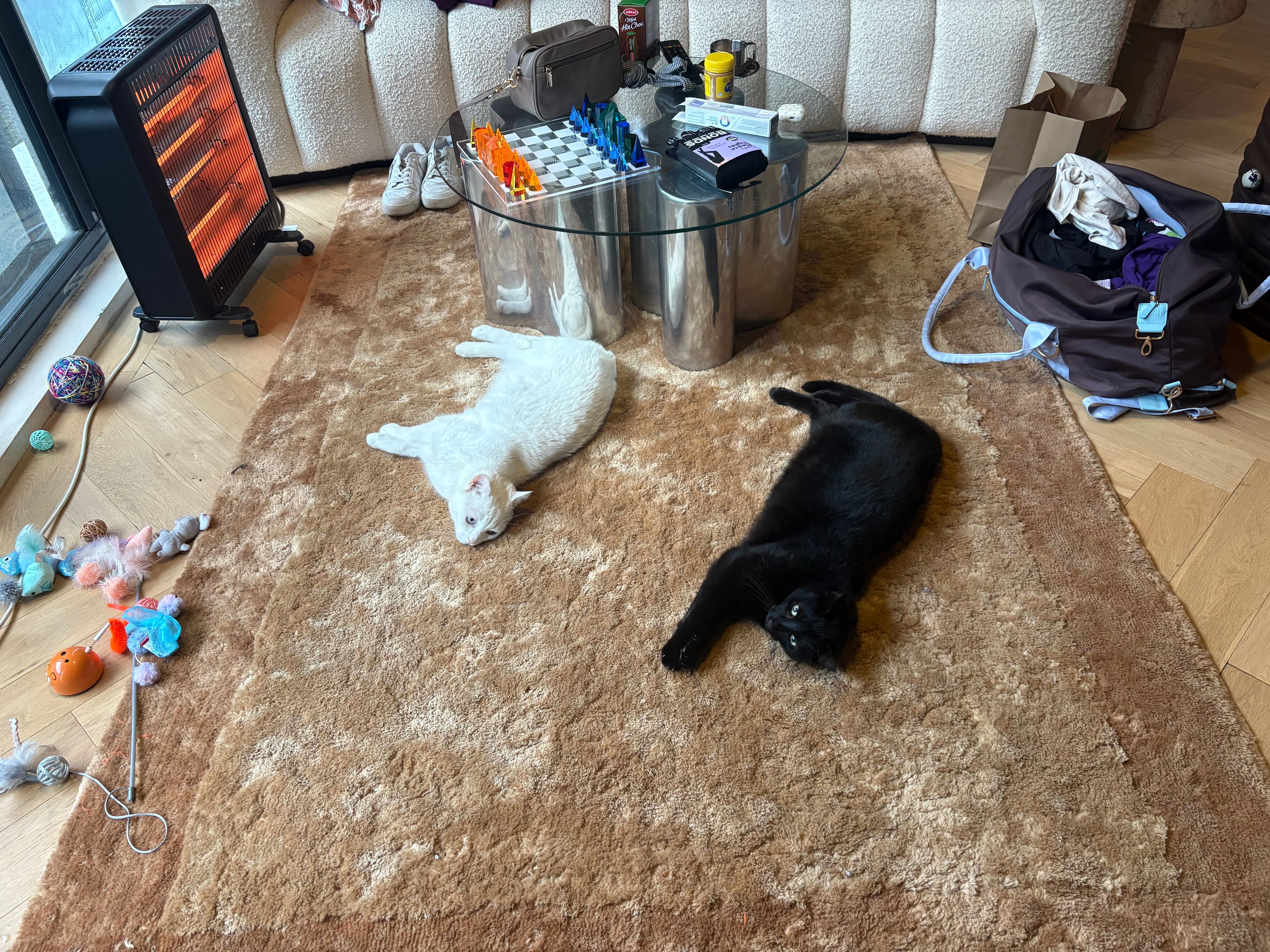 image-15