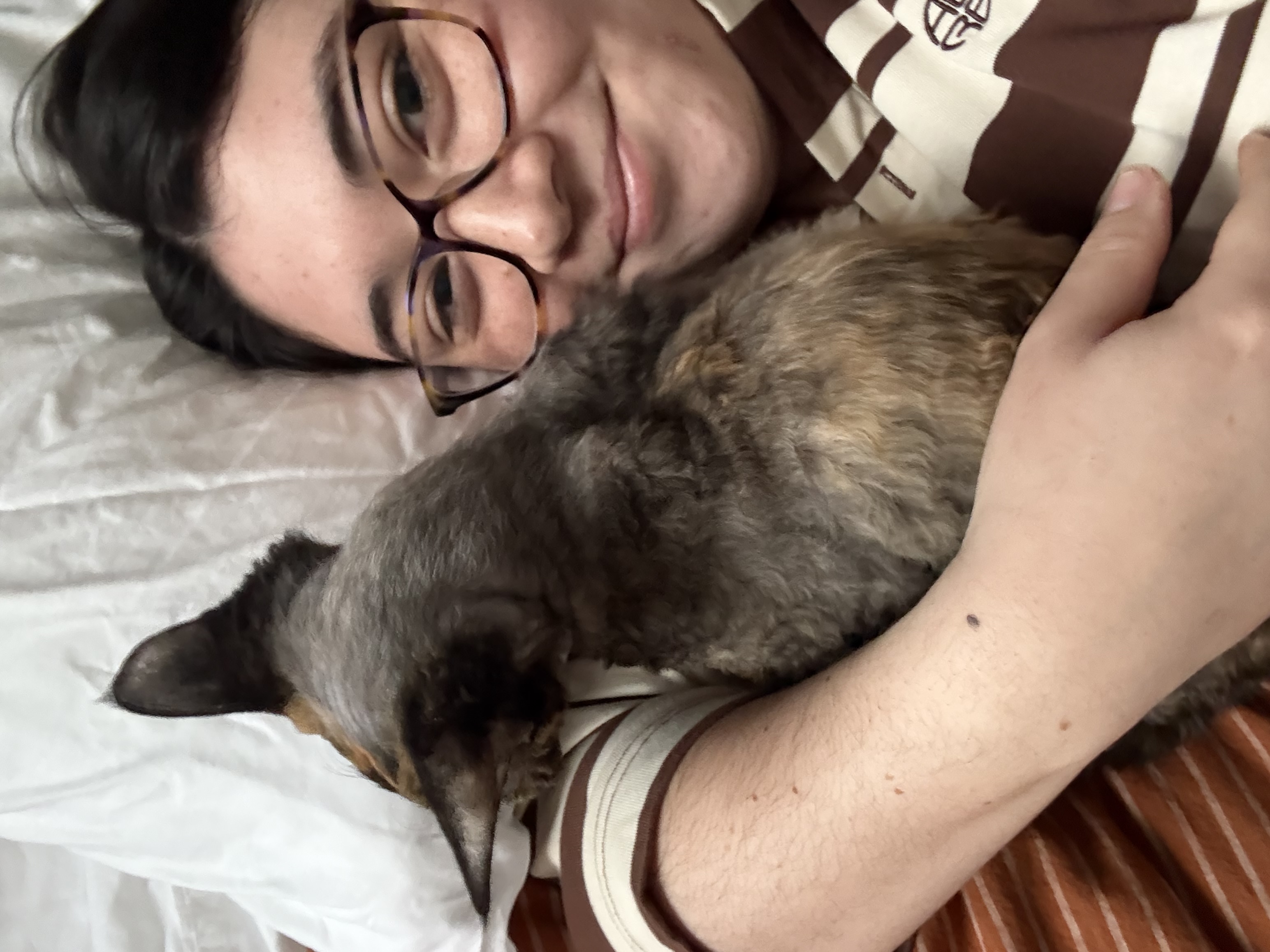 image-8
