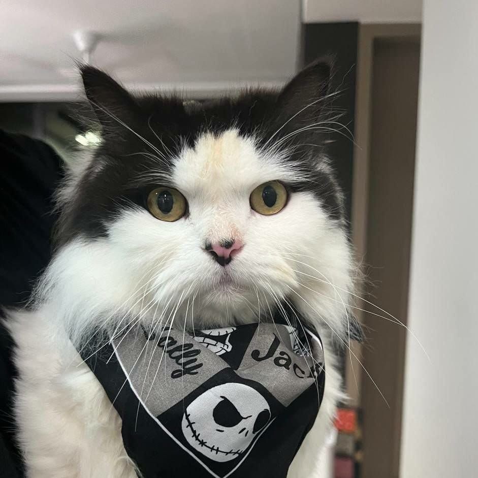 Sebastian