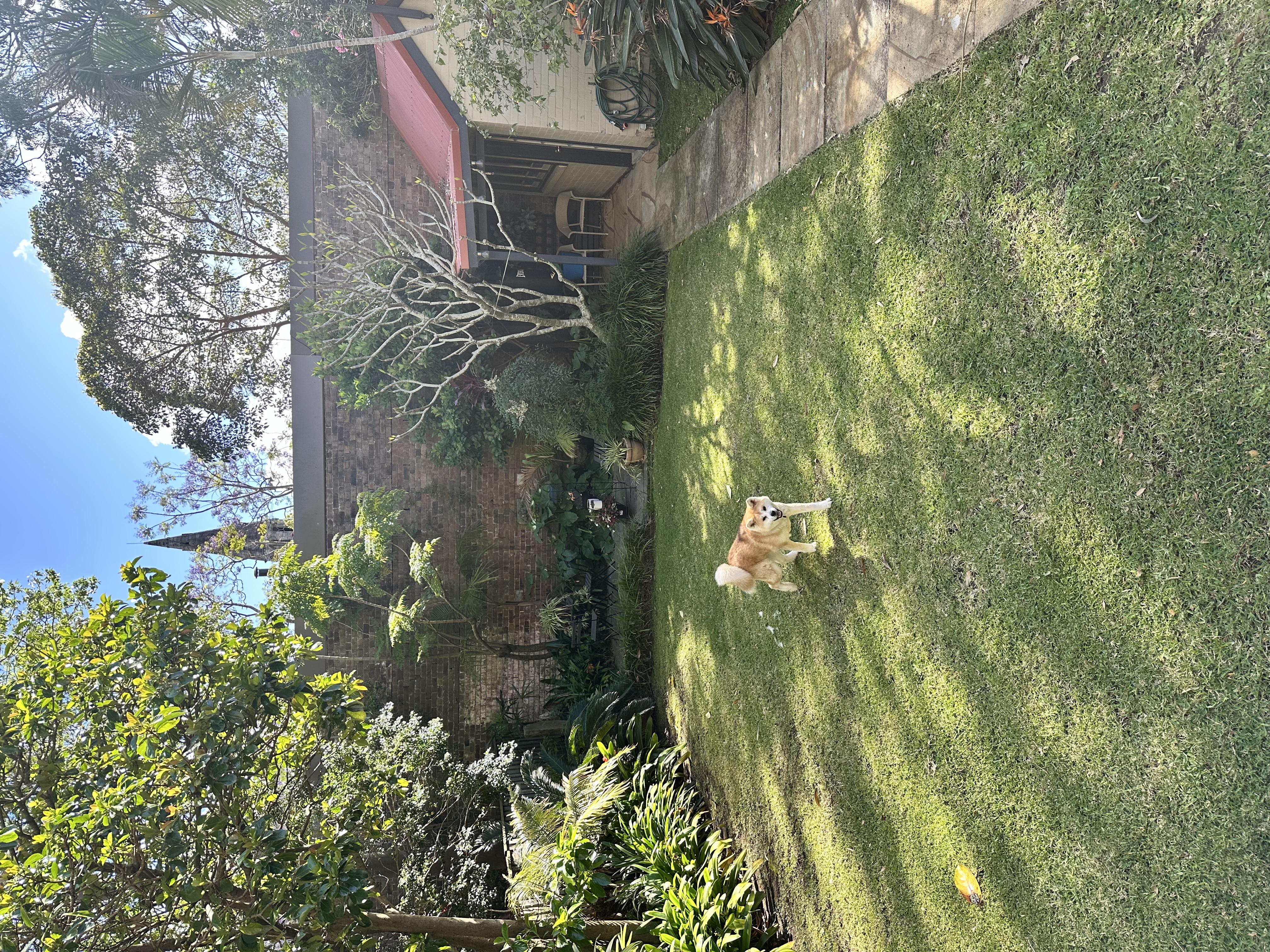 image-20