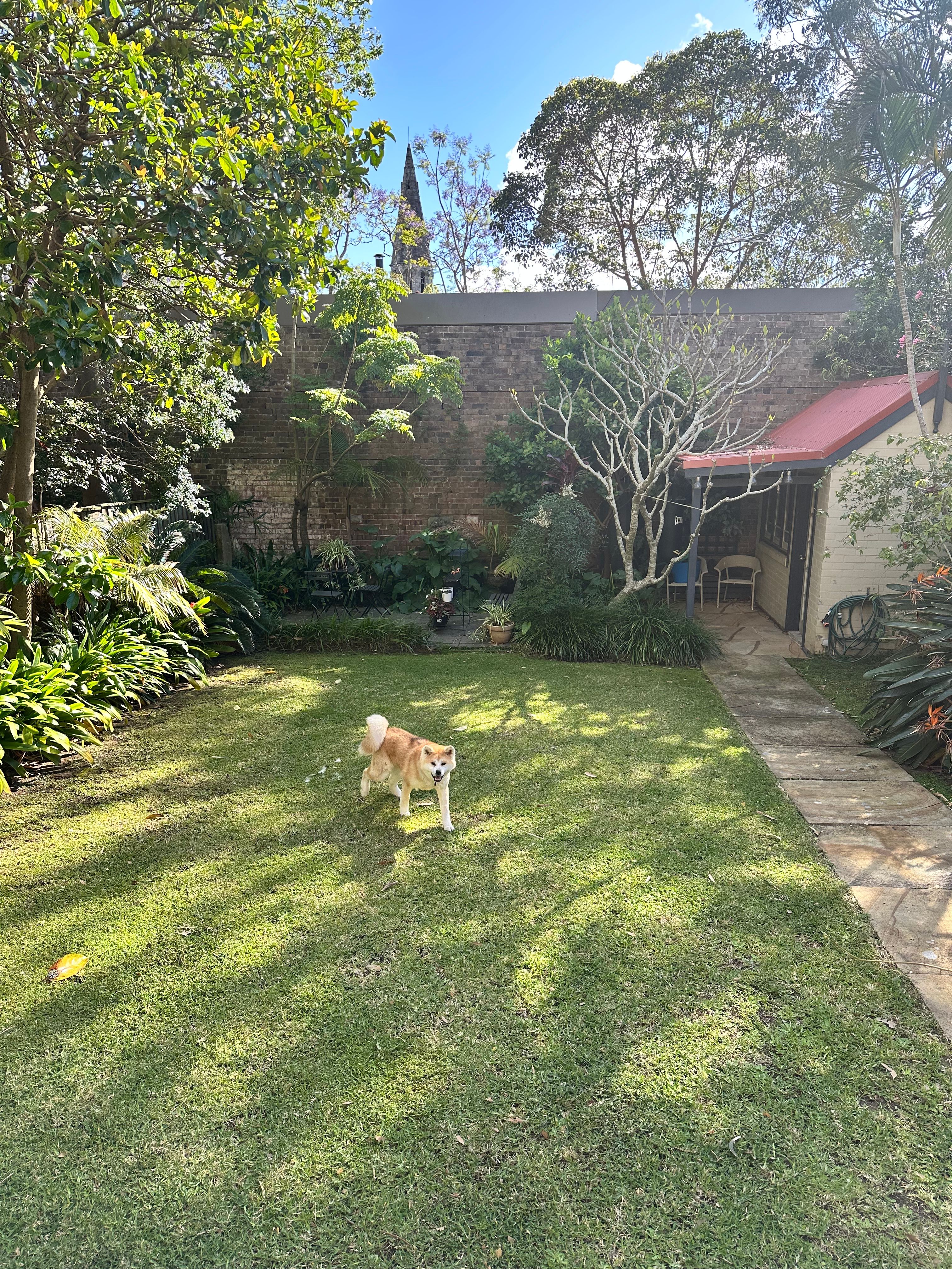 image-20