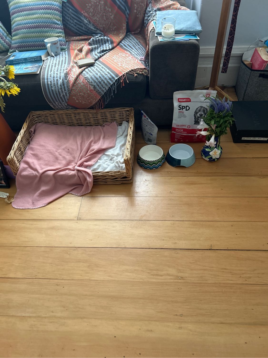 image-5
