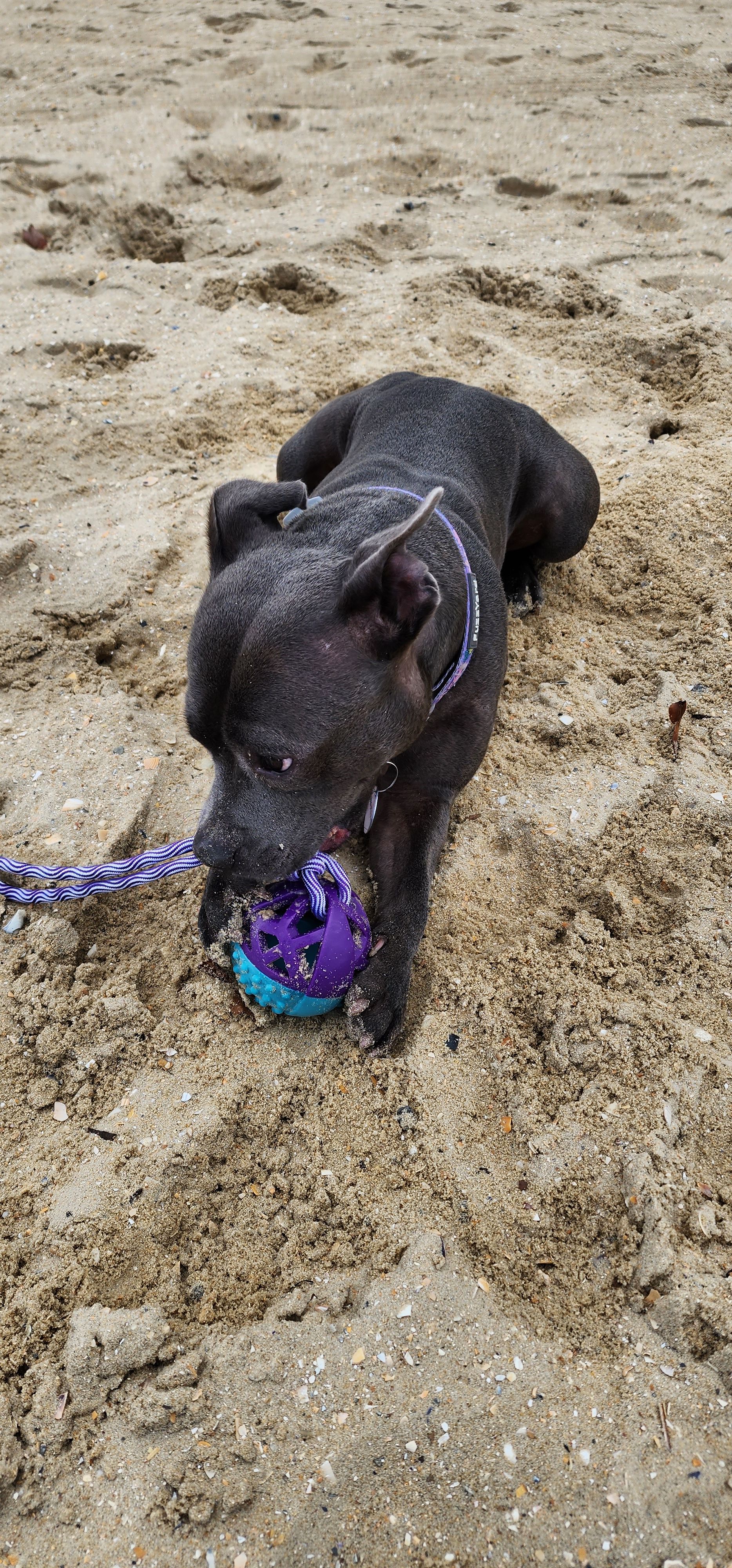 image-2