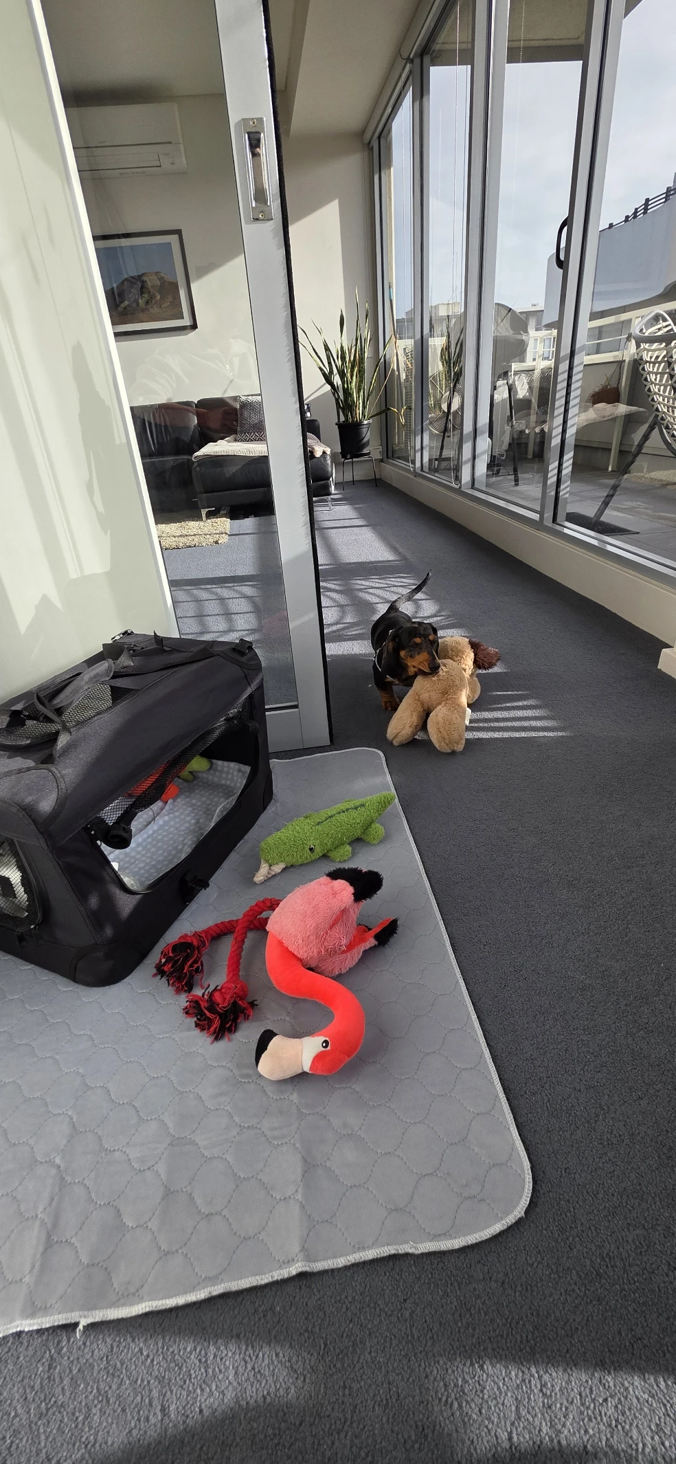 image-13