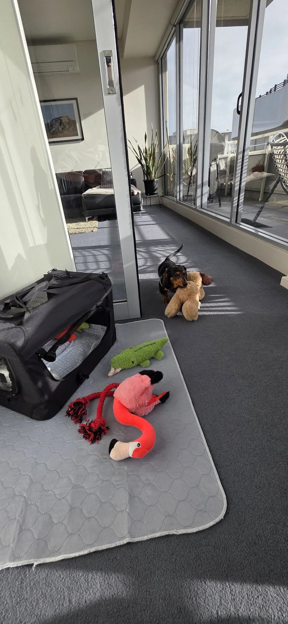 image-13
