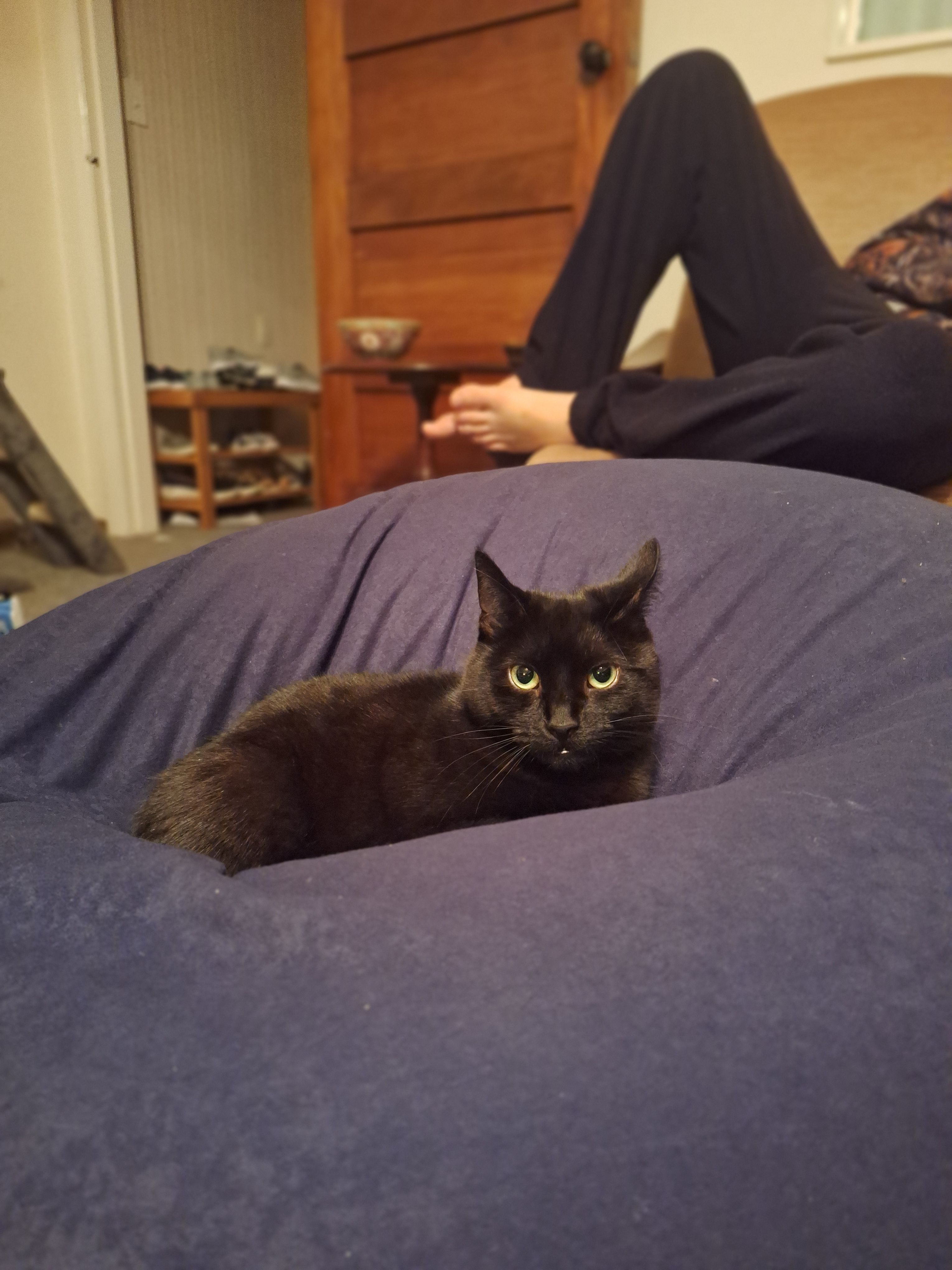 image-11