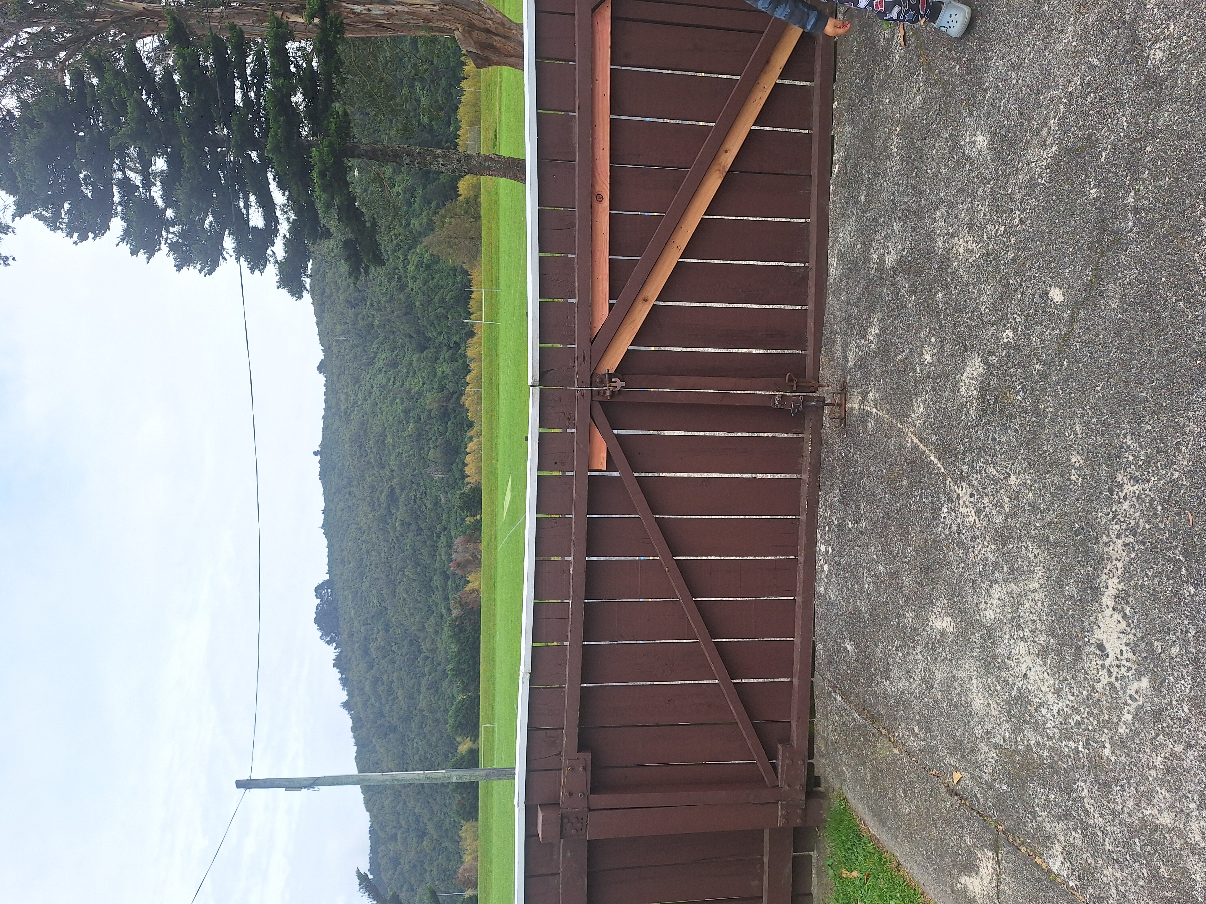 image-8