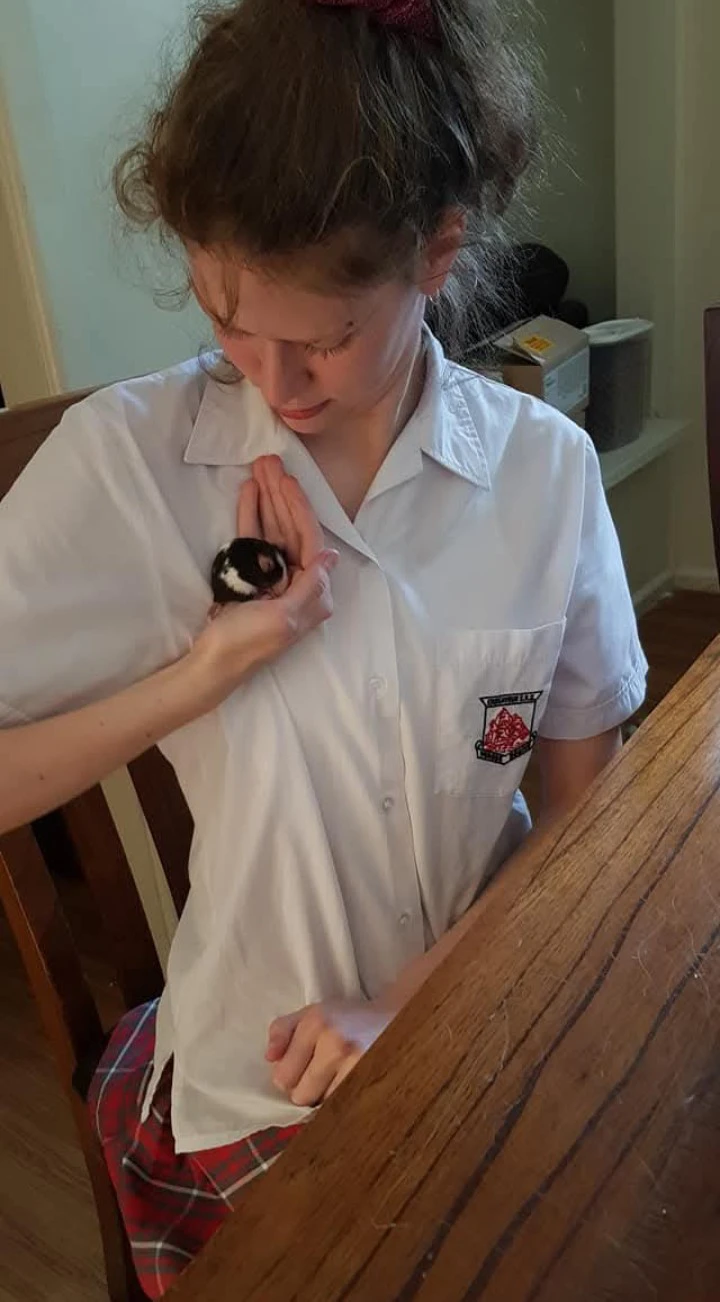 image-11