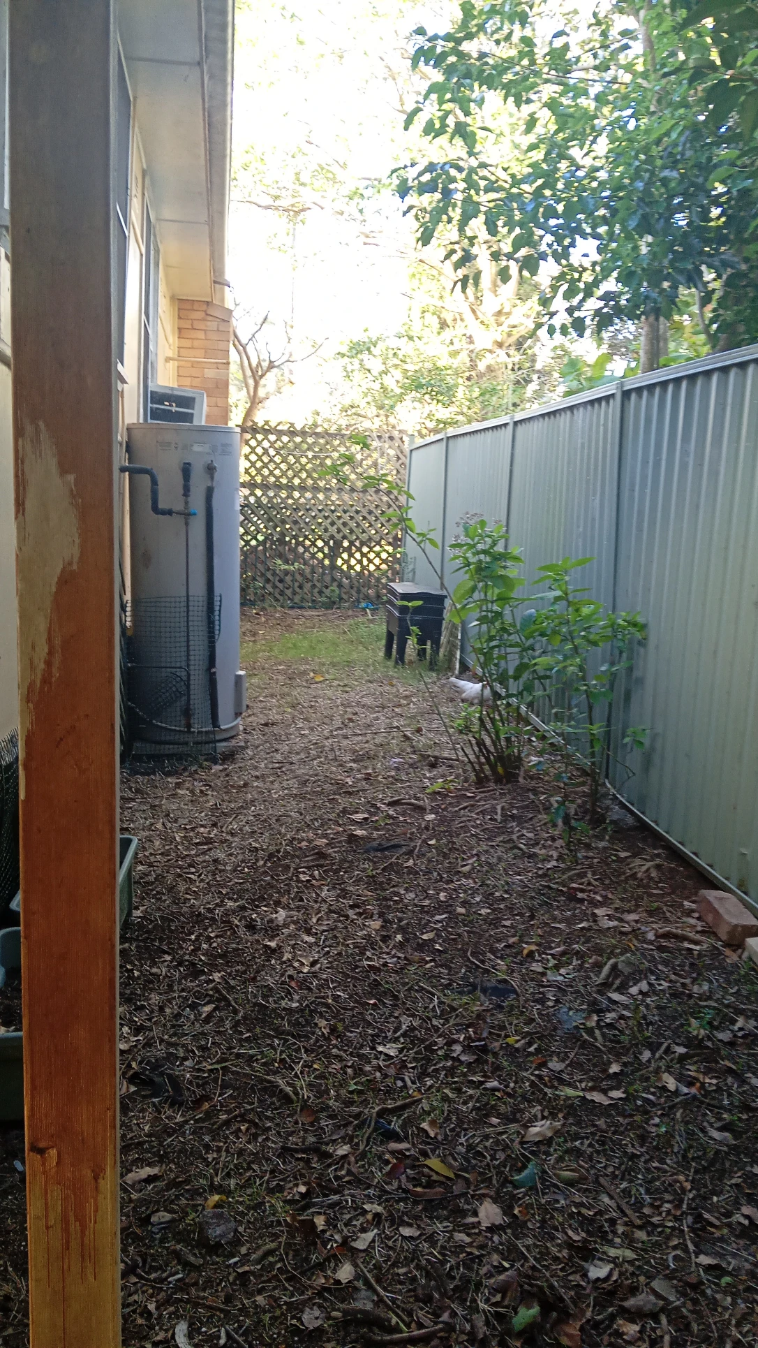 image-15