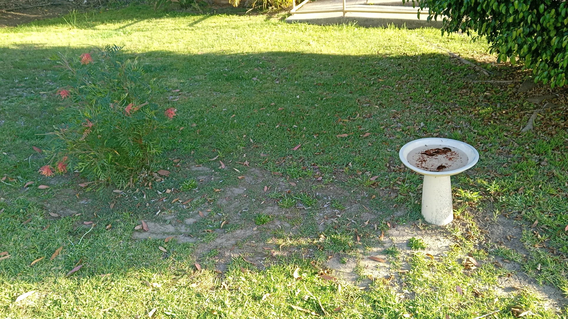 image-19