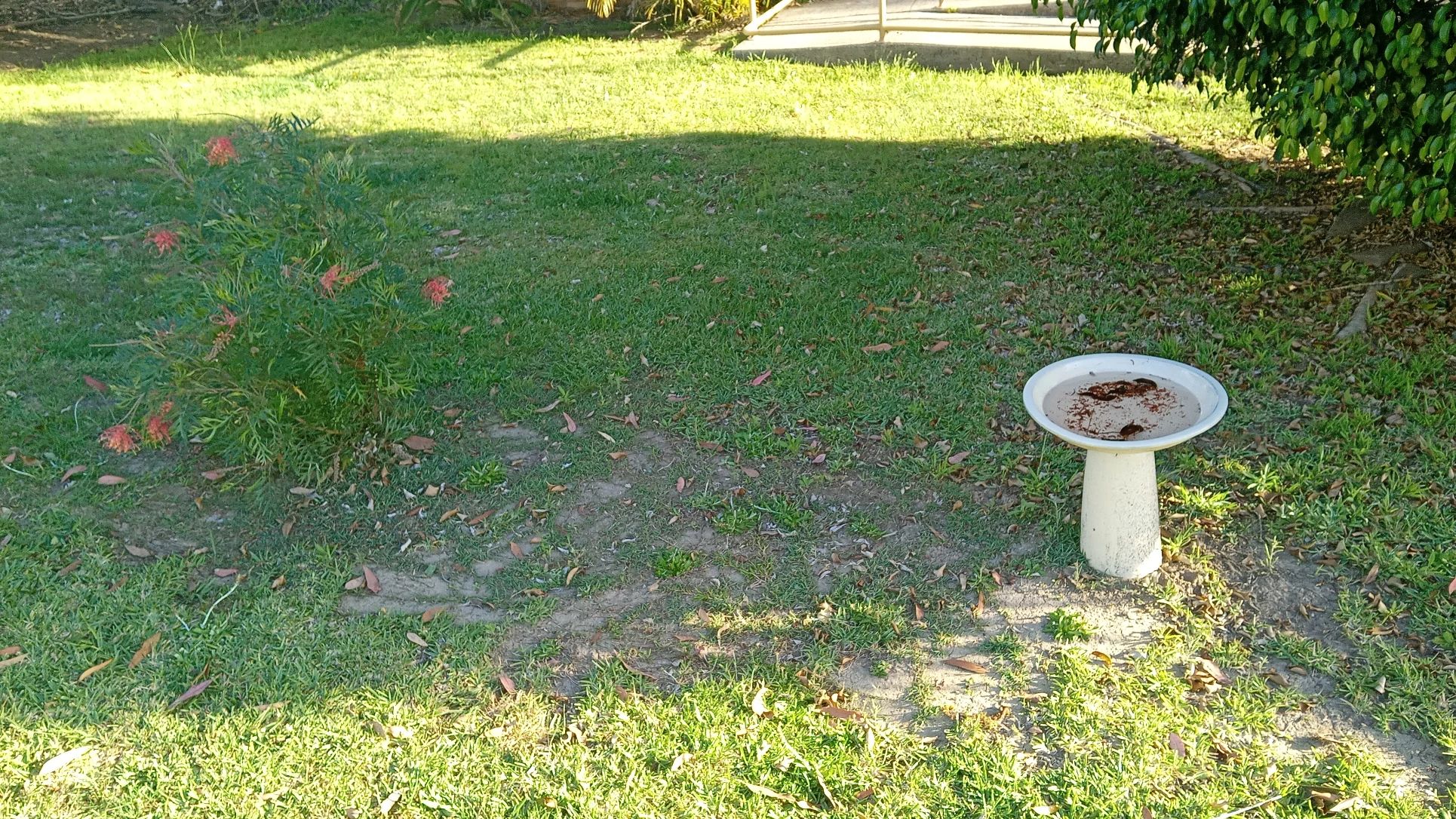 image-19
