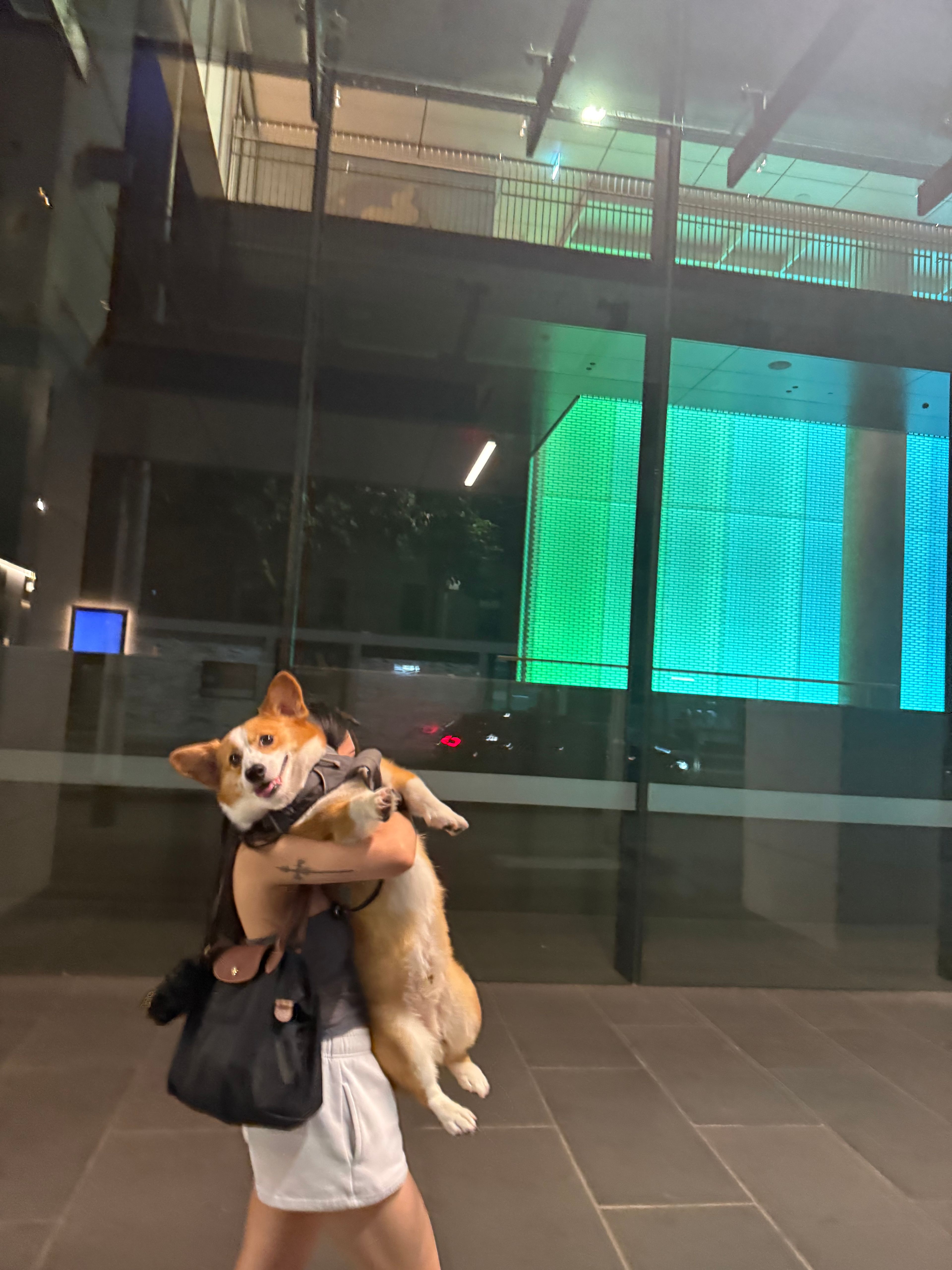 image-9