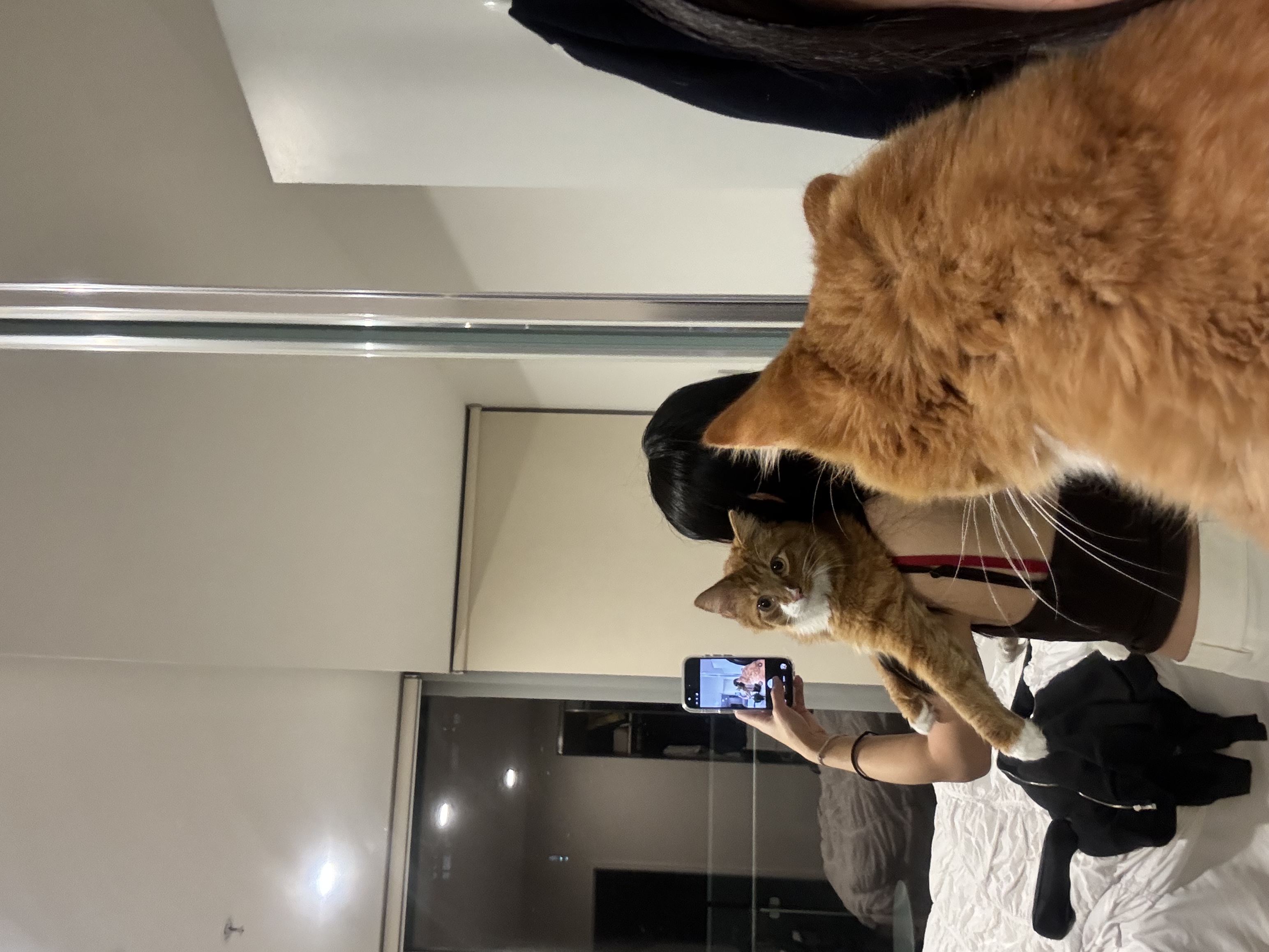 image-10