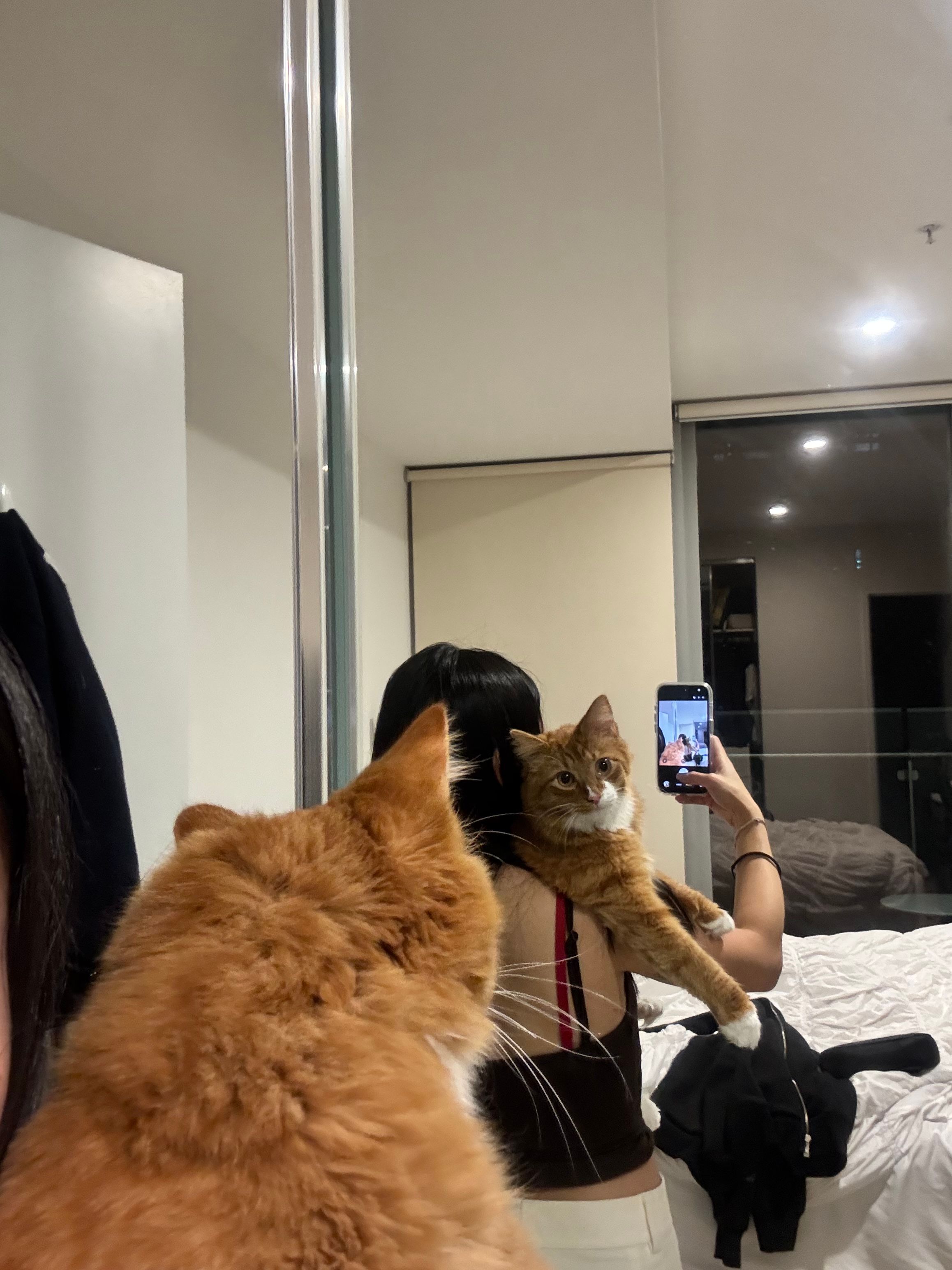 image-10