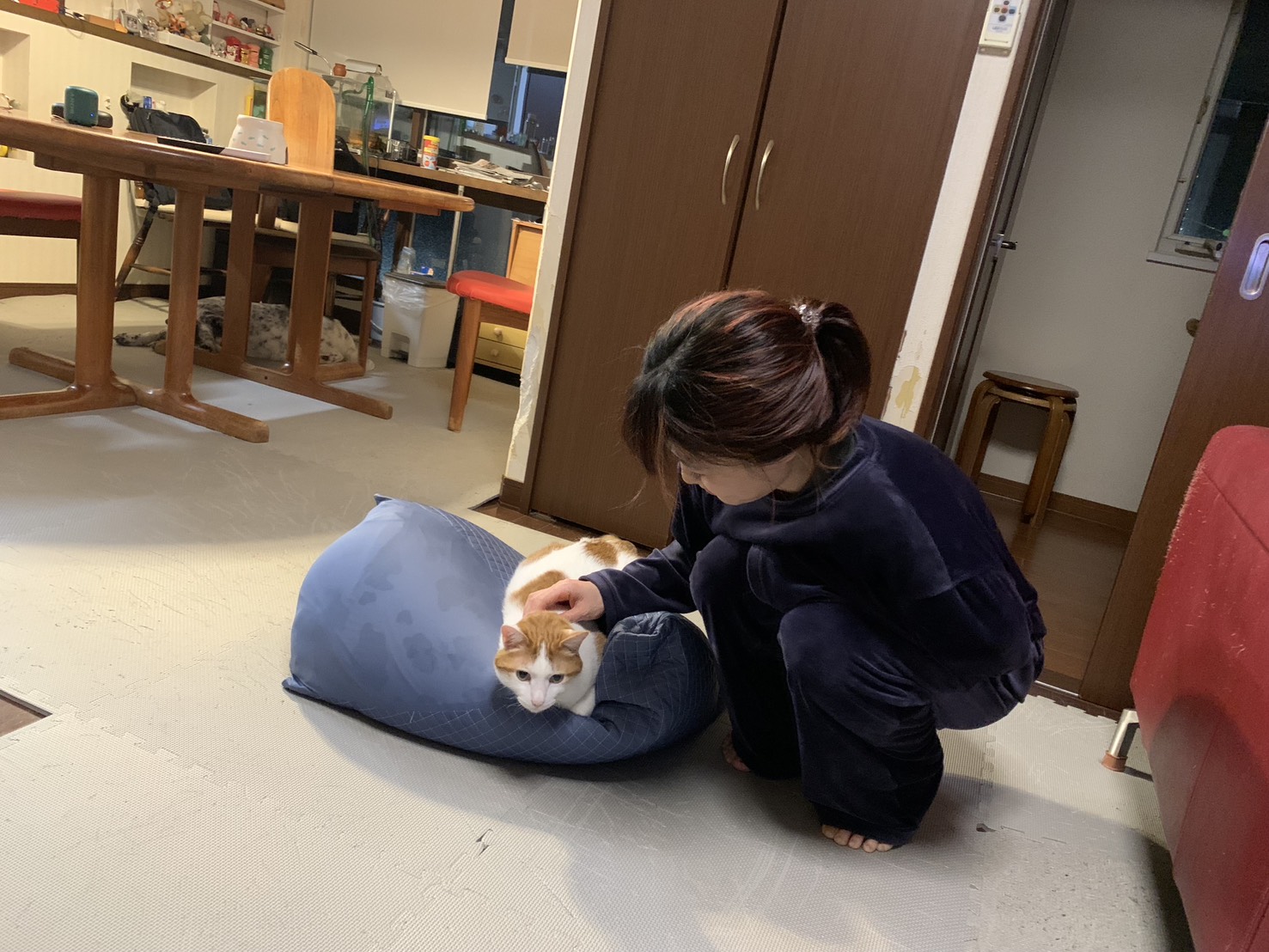 image-5