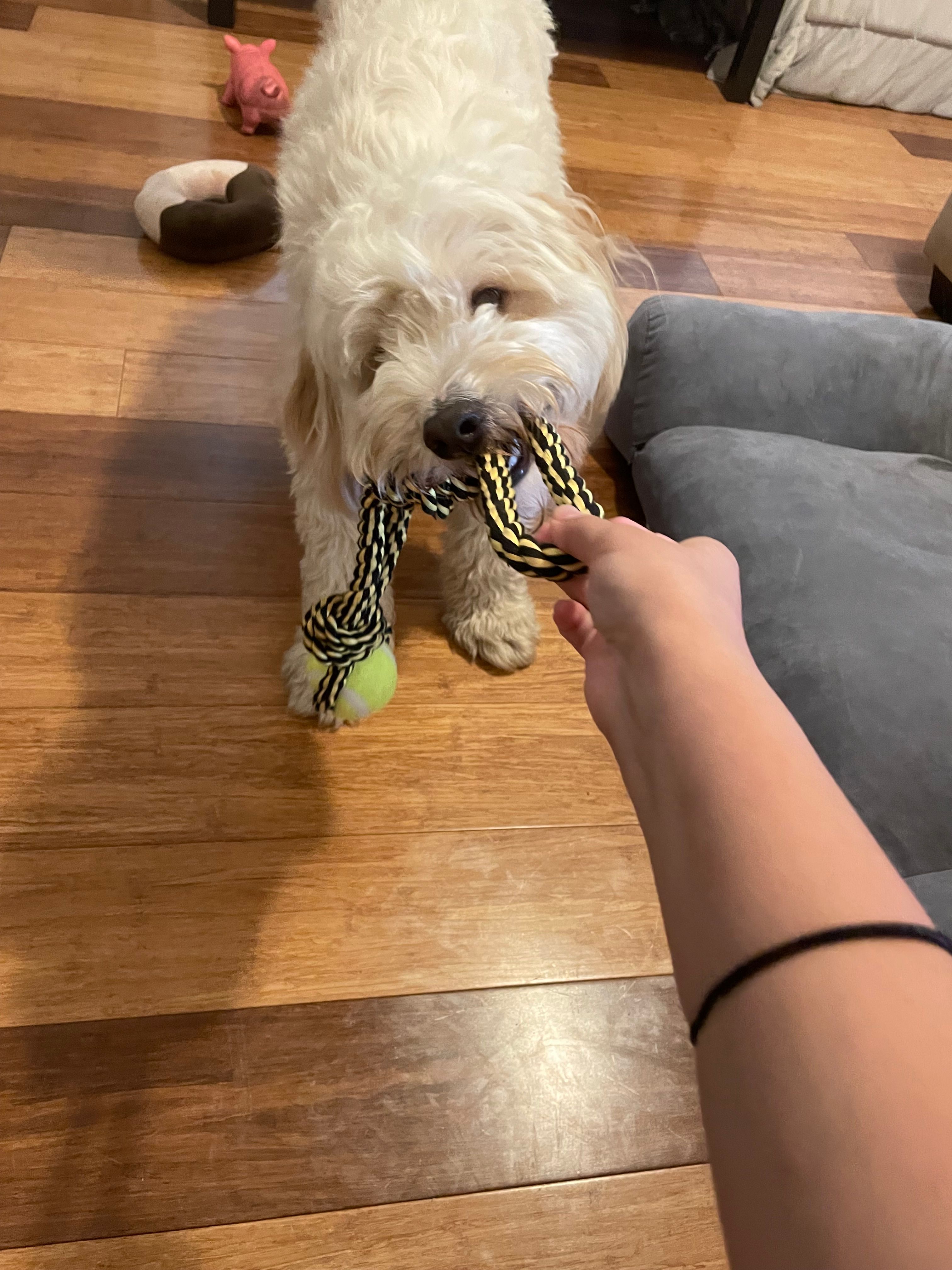 image-6