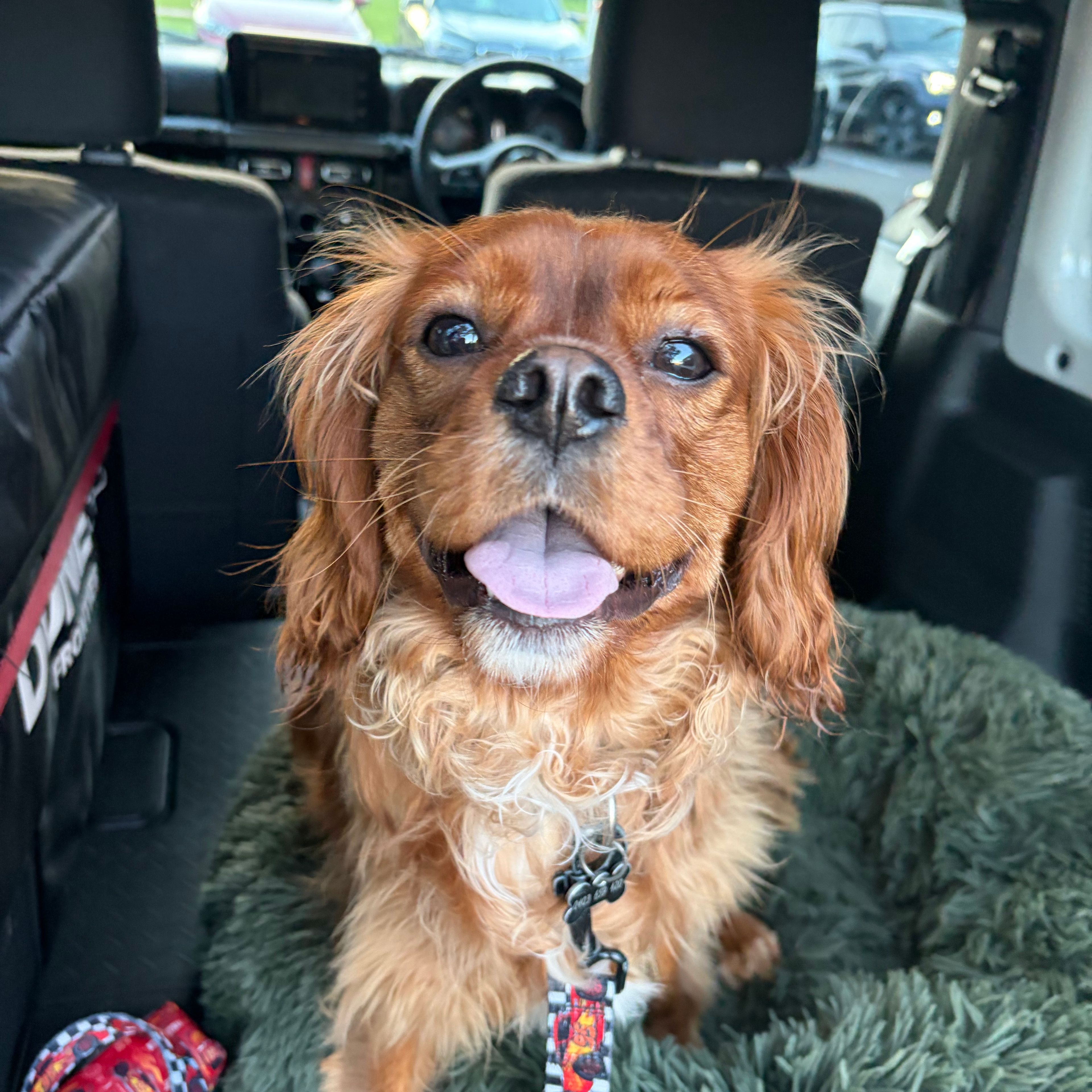 Ringo