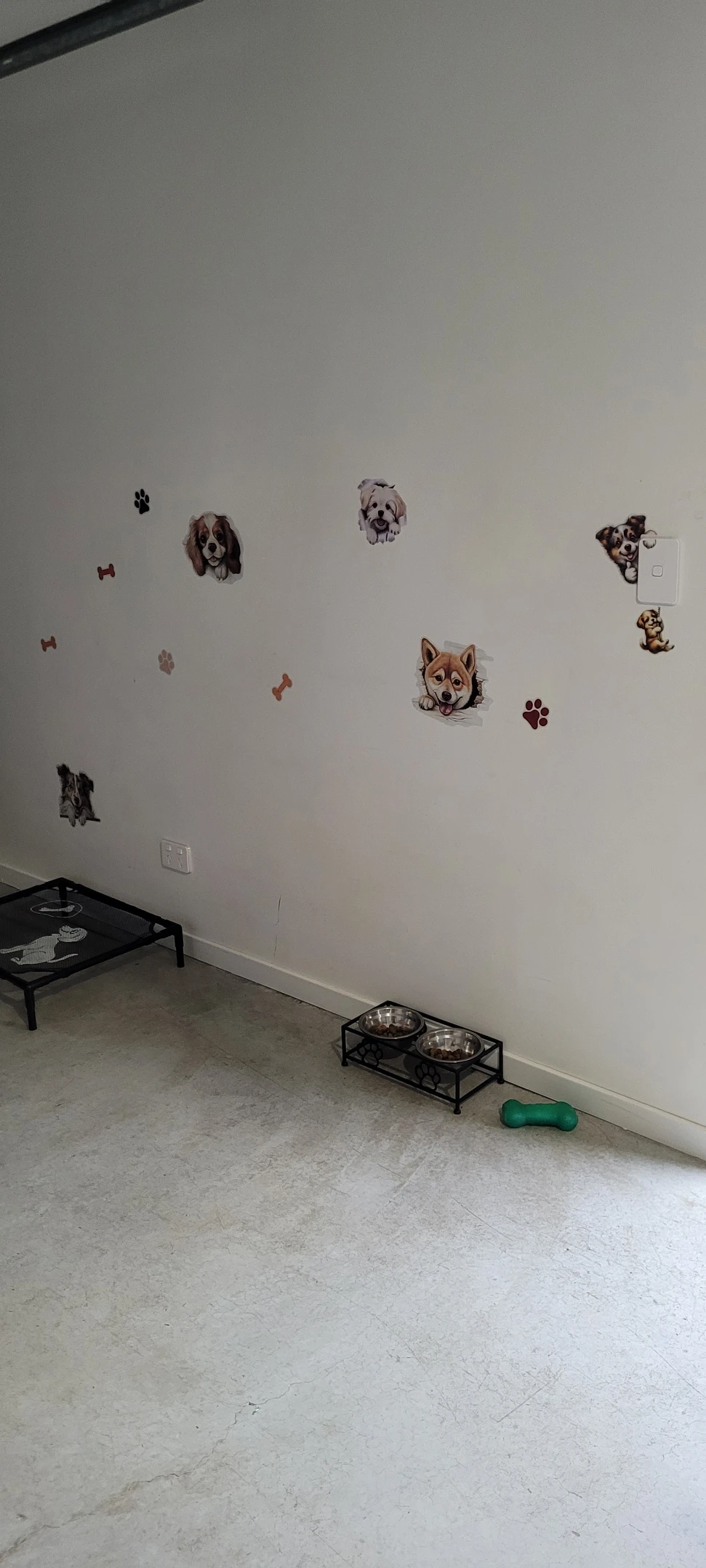 image-41