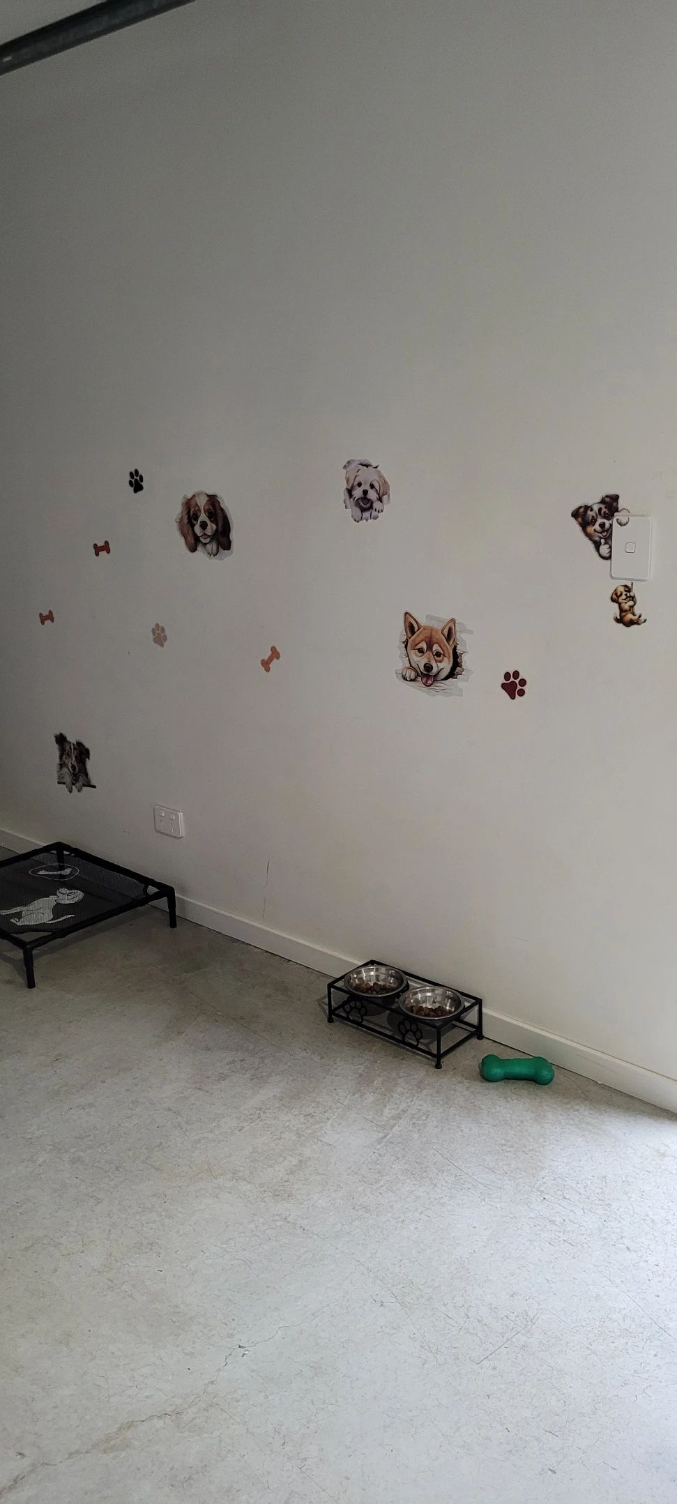 image-41