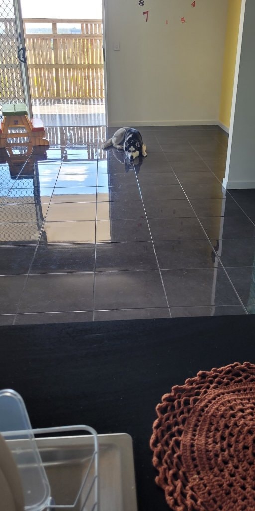 image-18