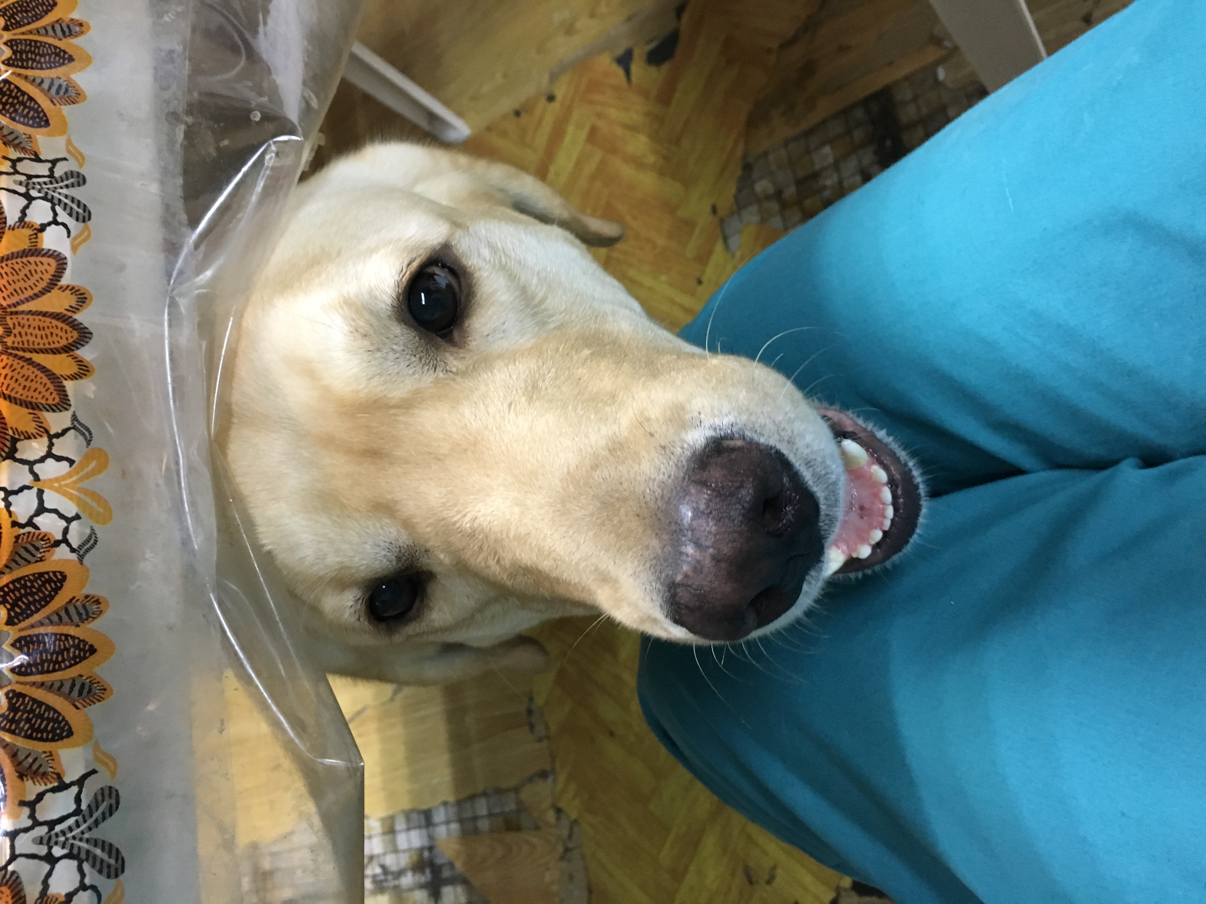 image-6