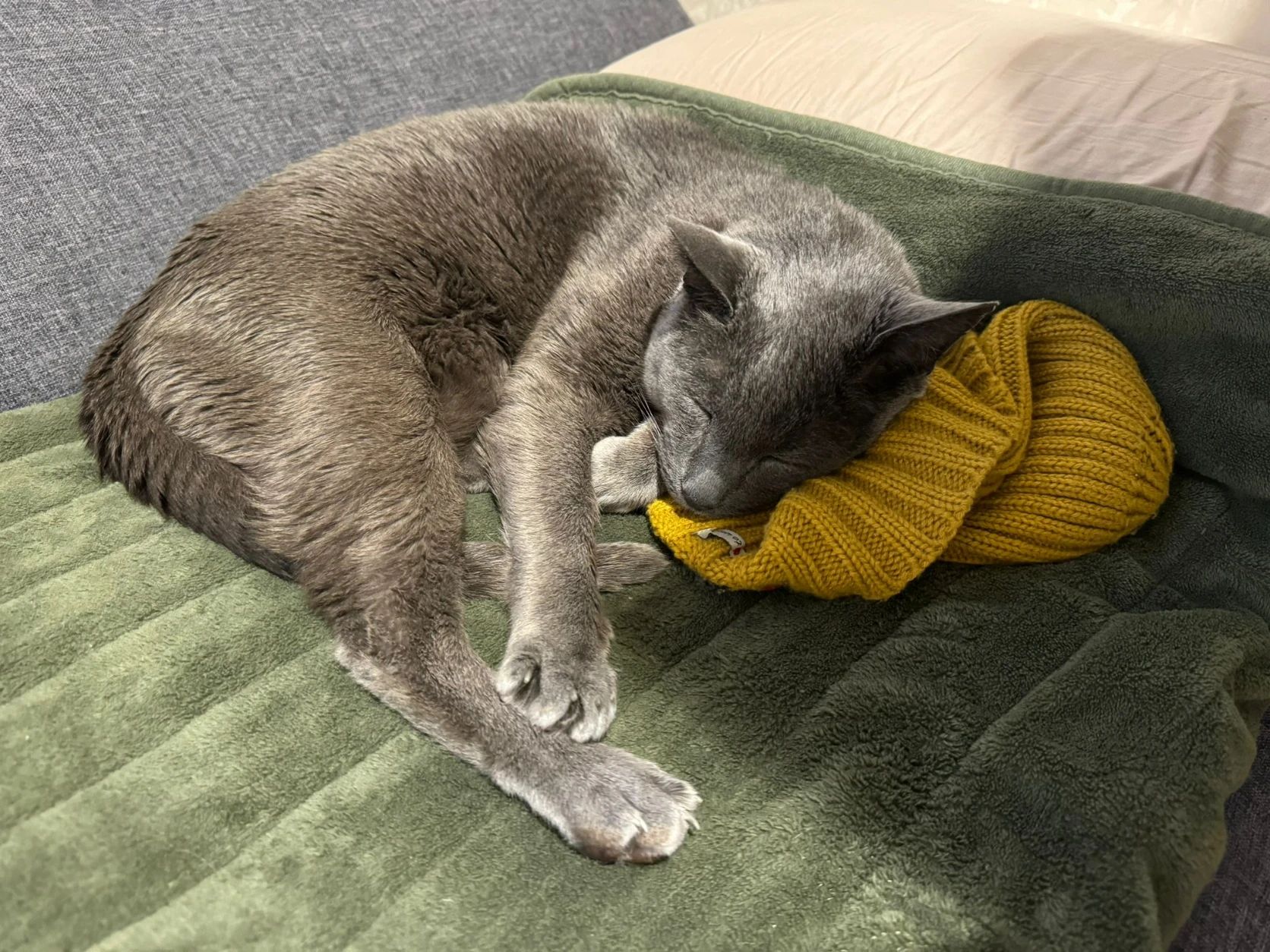 image-6